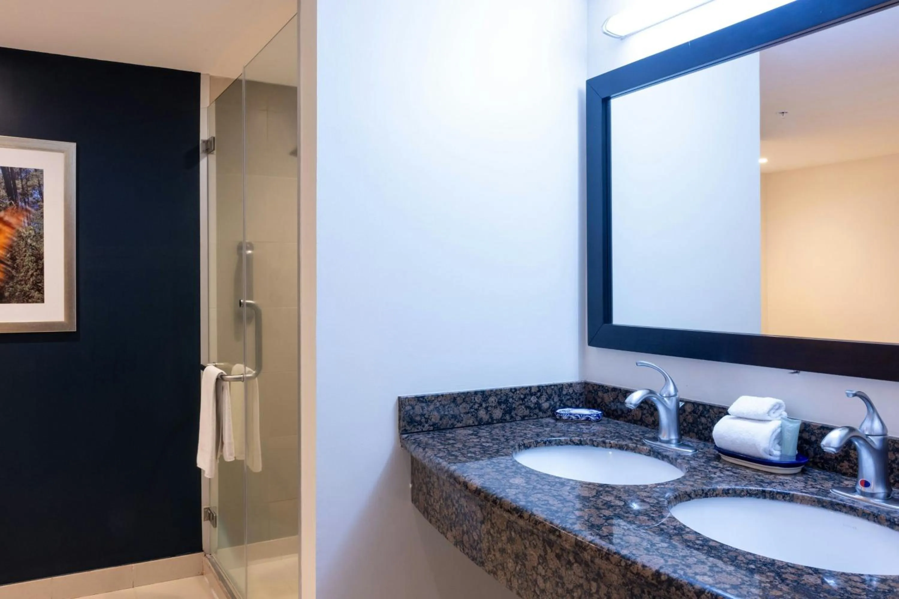 Bathroom in Courtyard Toluca Tollocan