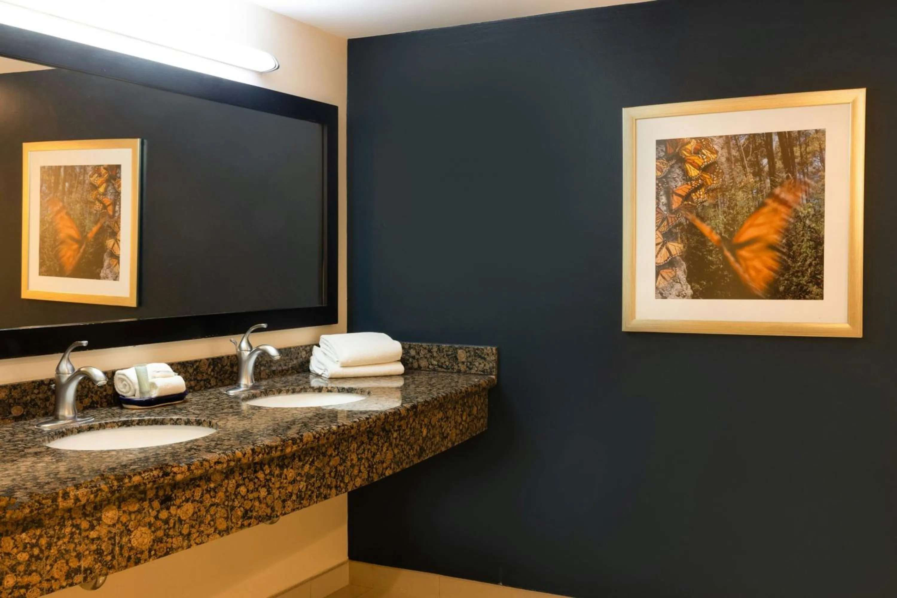 Bathroom in Courtyard Toluca Tollocan