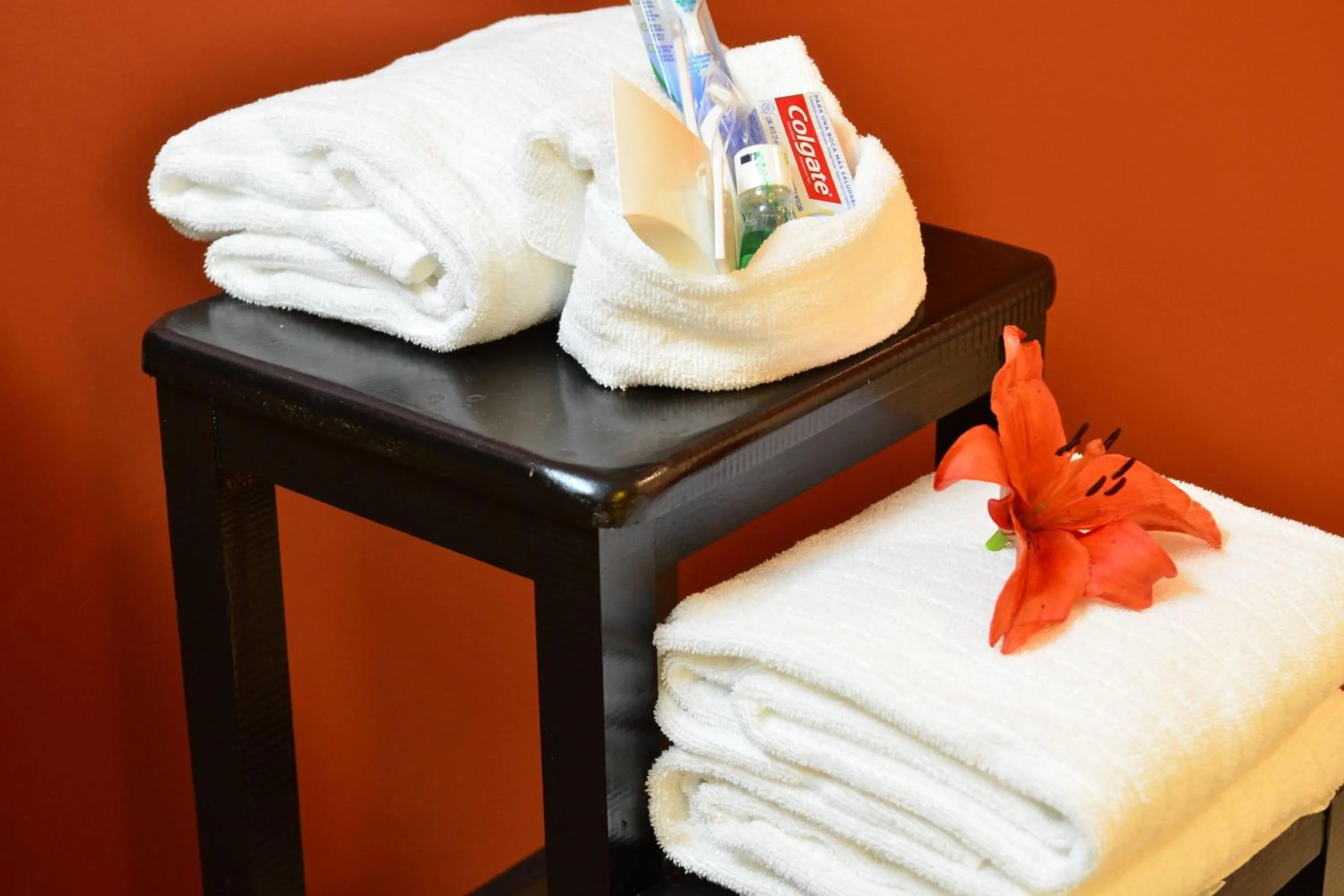 Bathroom in Courtyard Toluca Tollocan