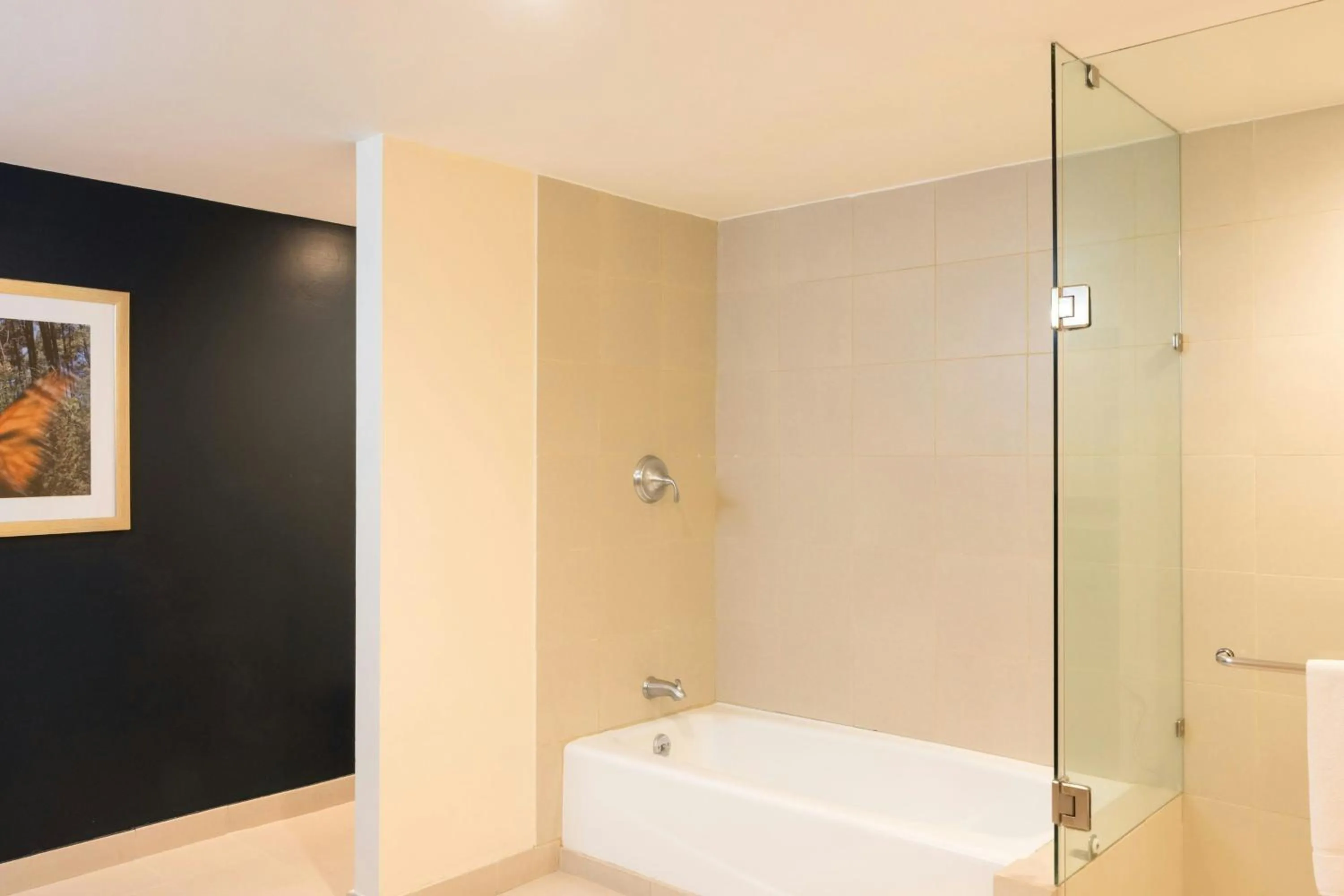 Bathroom in Courtyard Toluca Tollocan