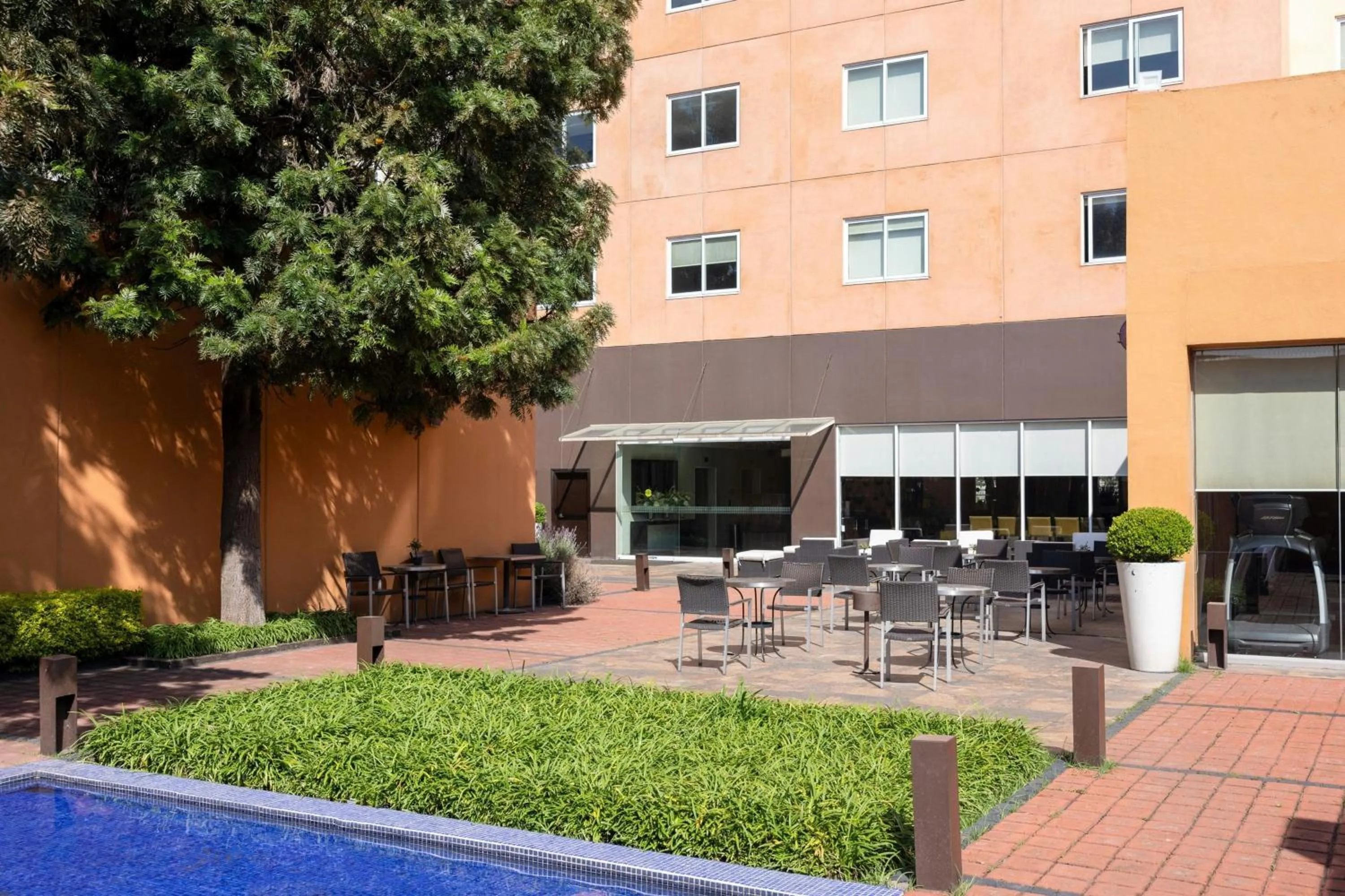 Other in Courtyard Toluca Tollocan