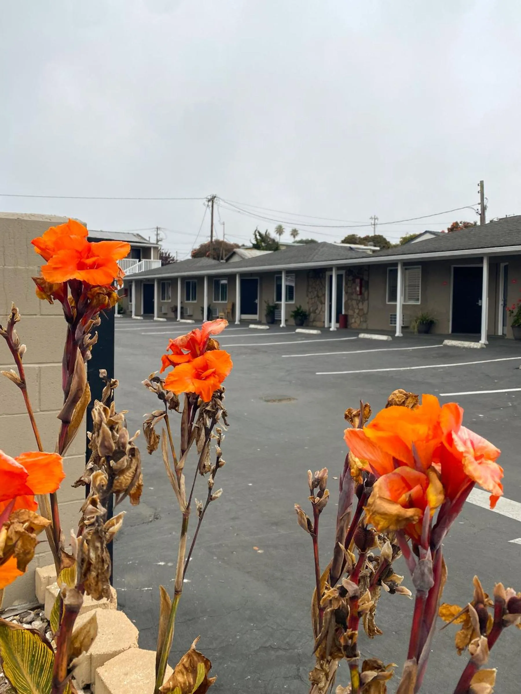 Property building in Rockview Inn and Suites