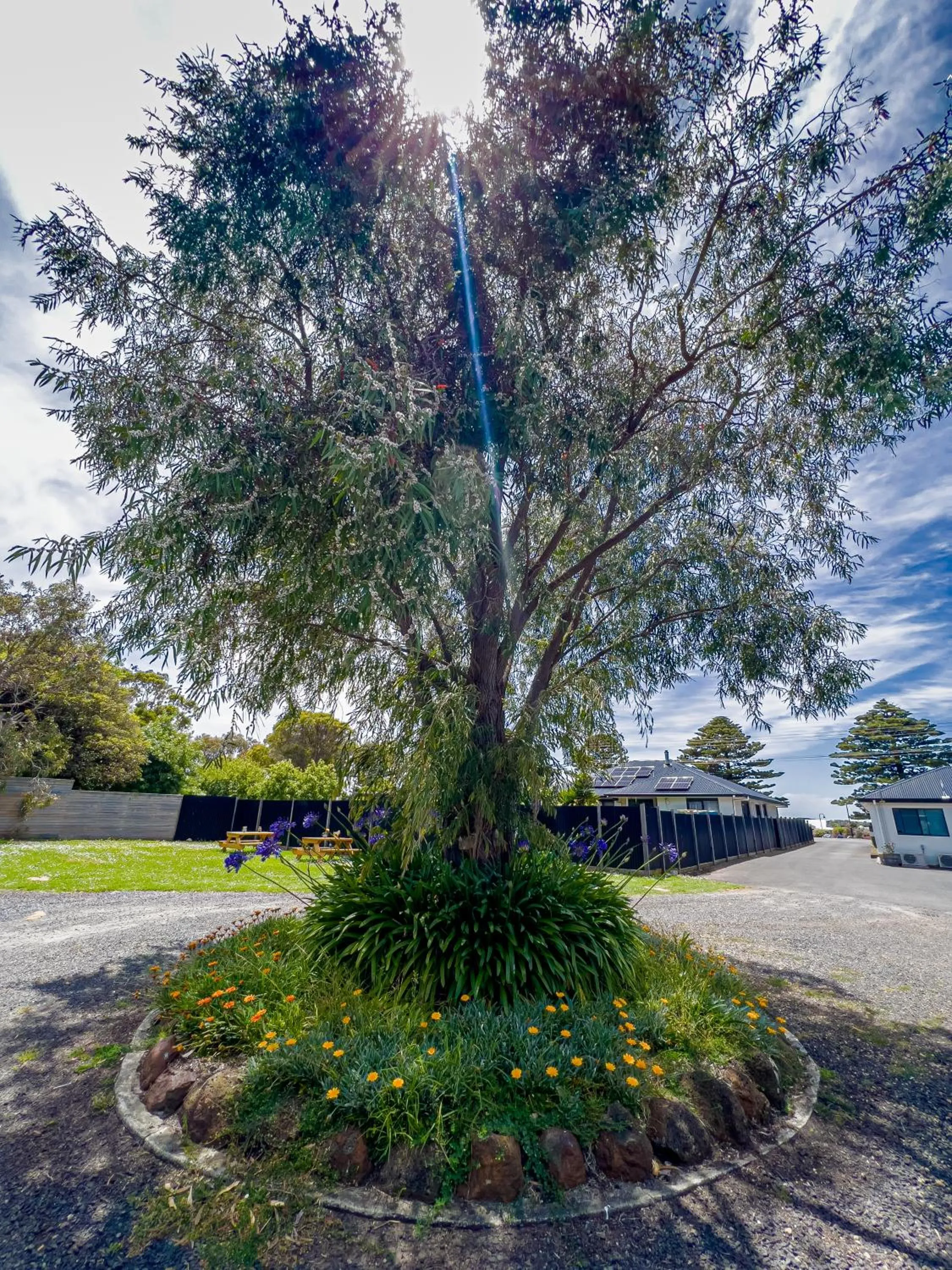Natural landscape in A1 Motels and Apartments Port Fairy