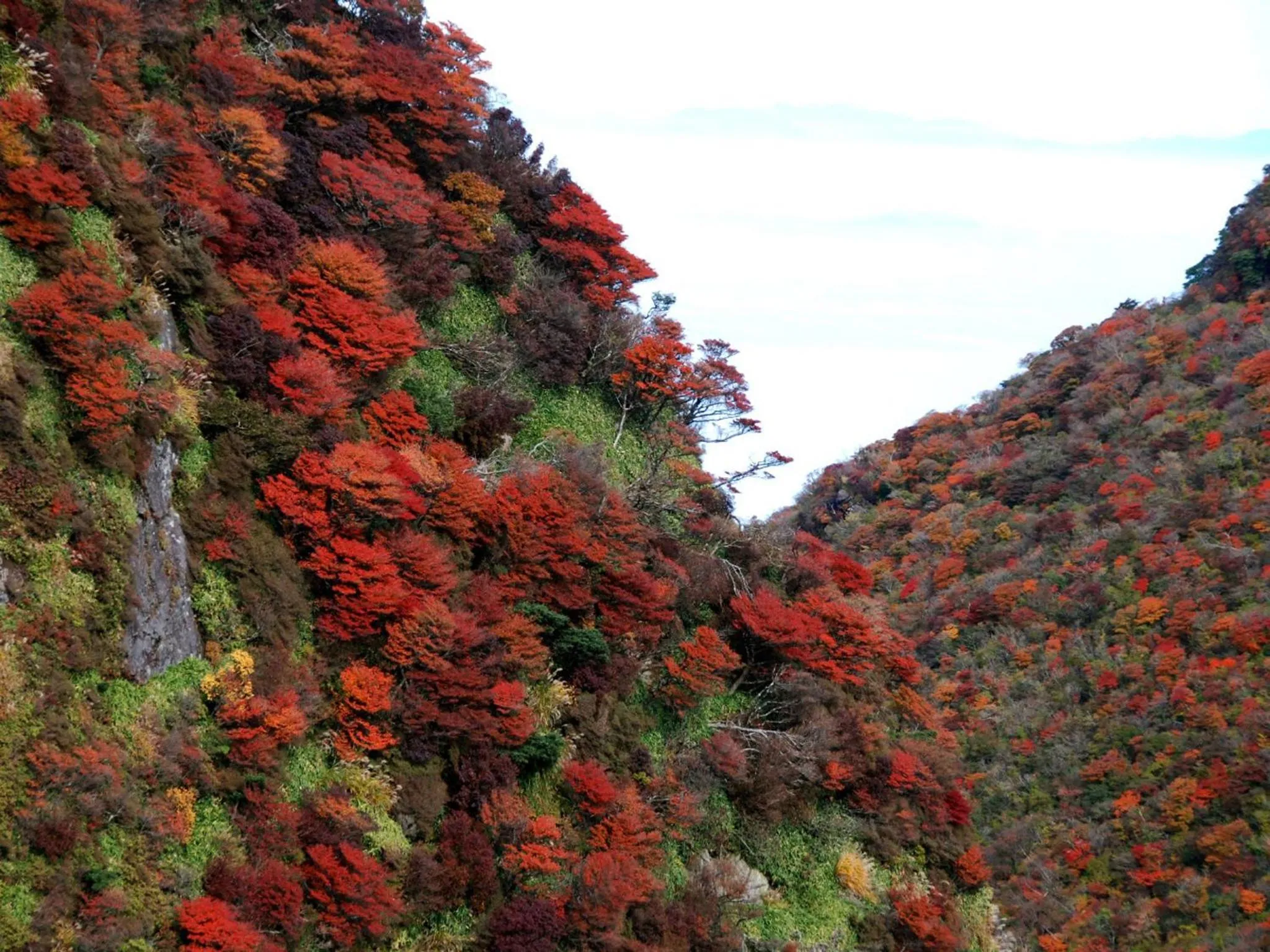 Off site in Minshuku Unzen