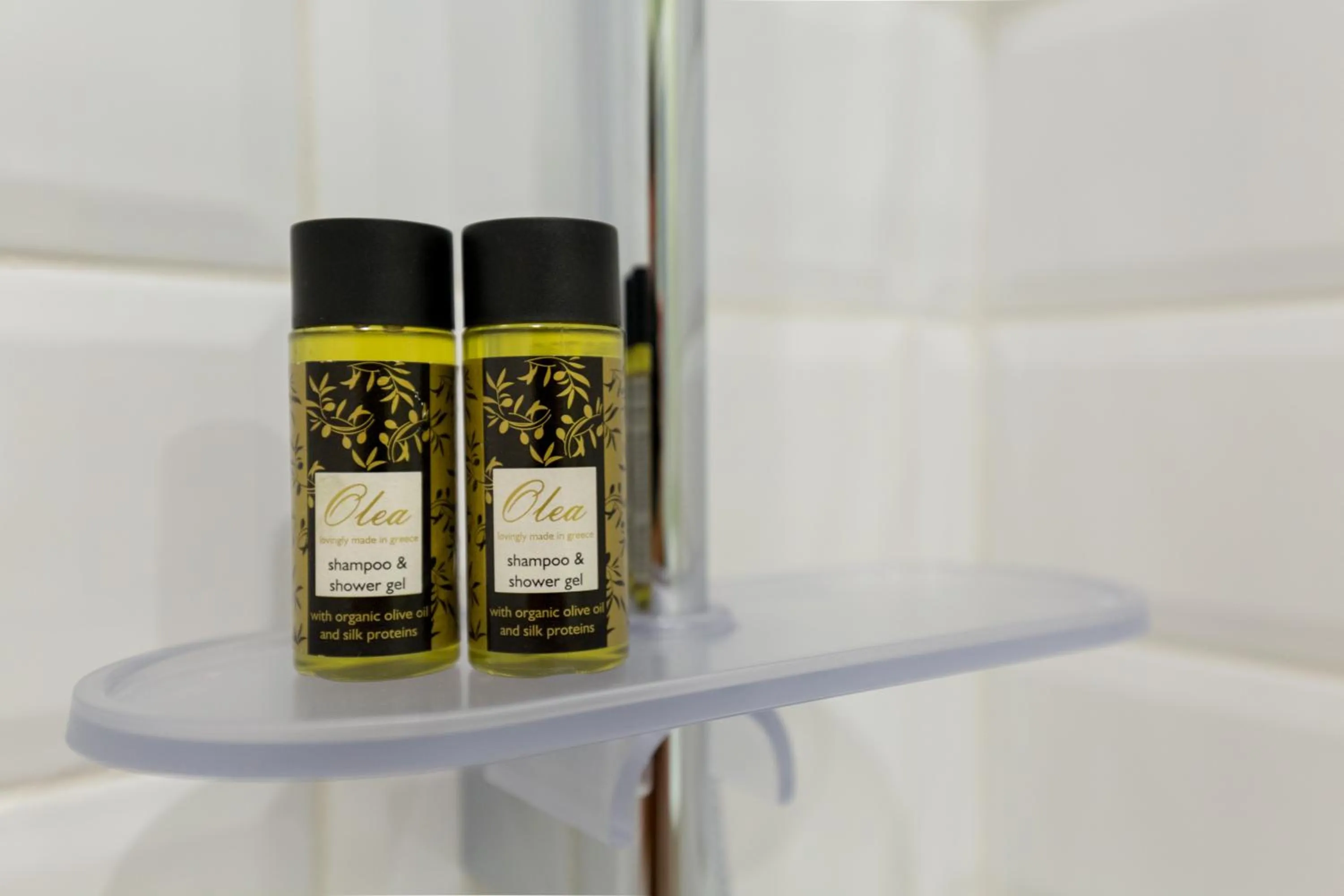 Bathroom in Dinostratus House