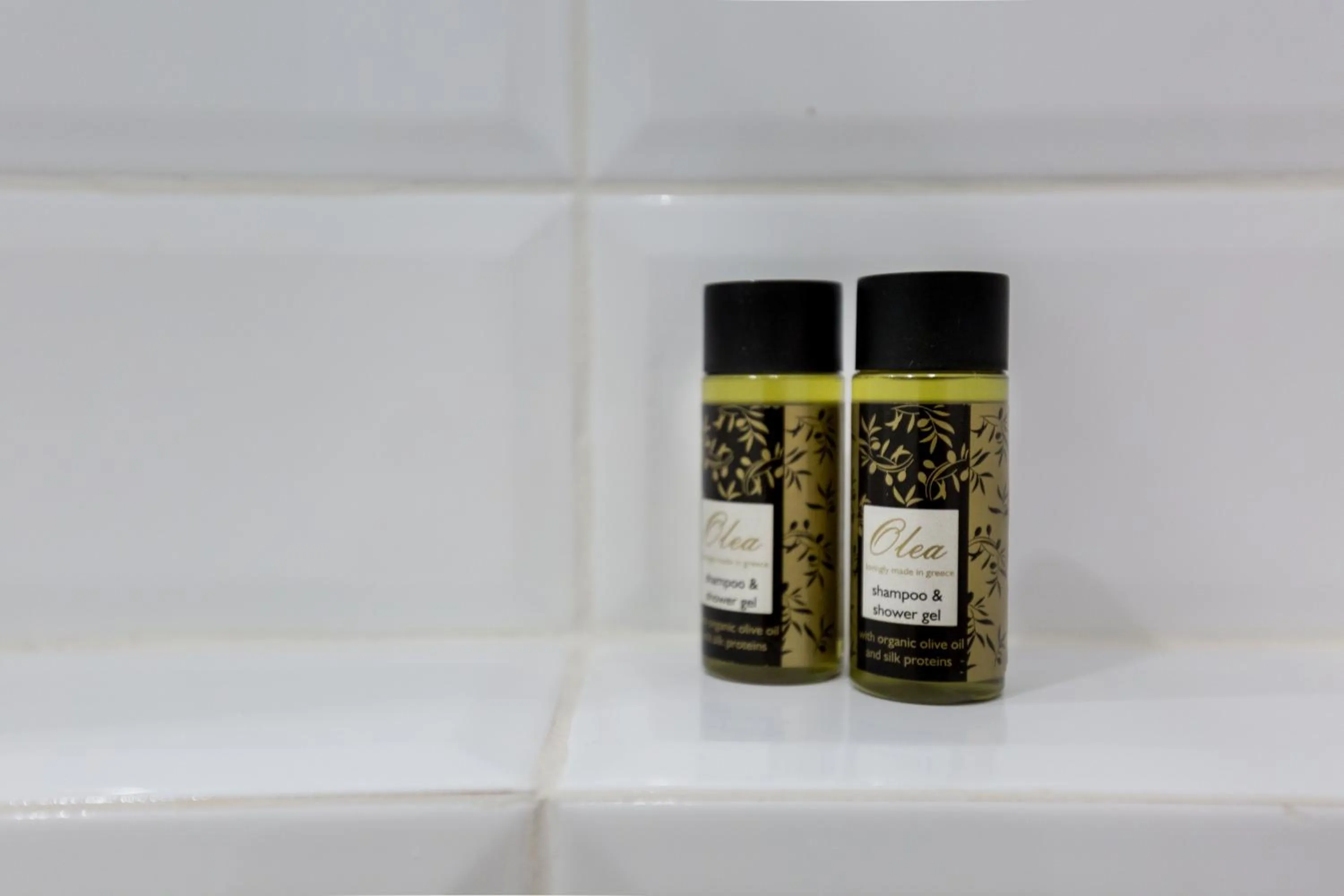 Bathroom in Dinostratus House