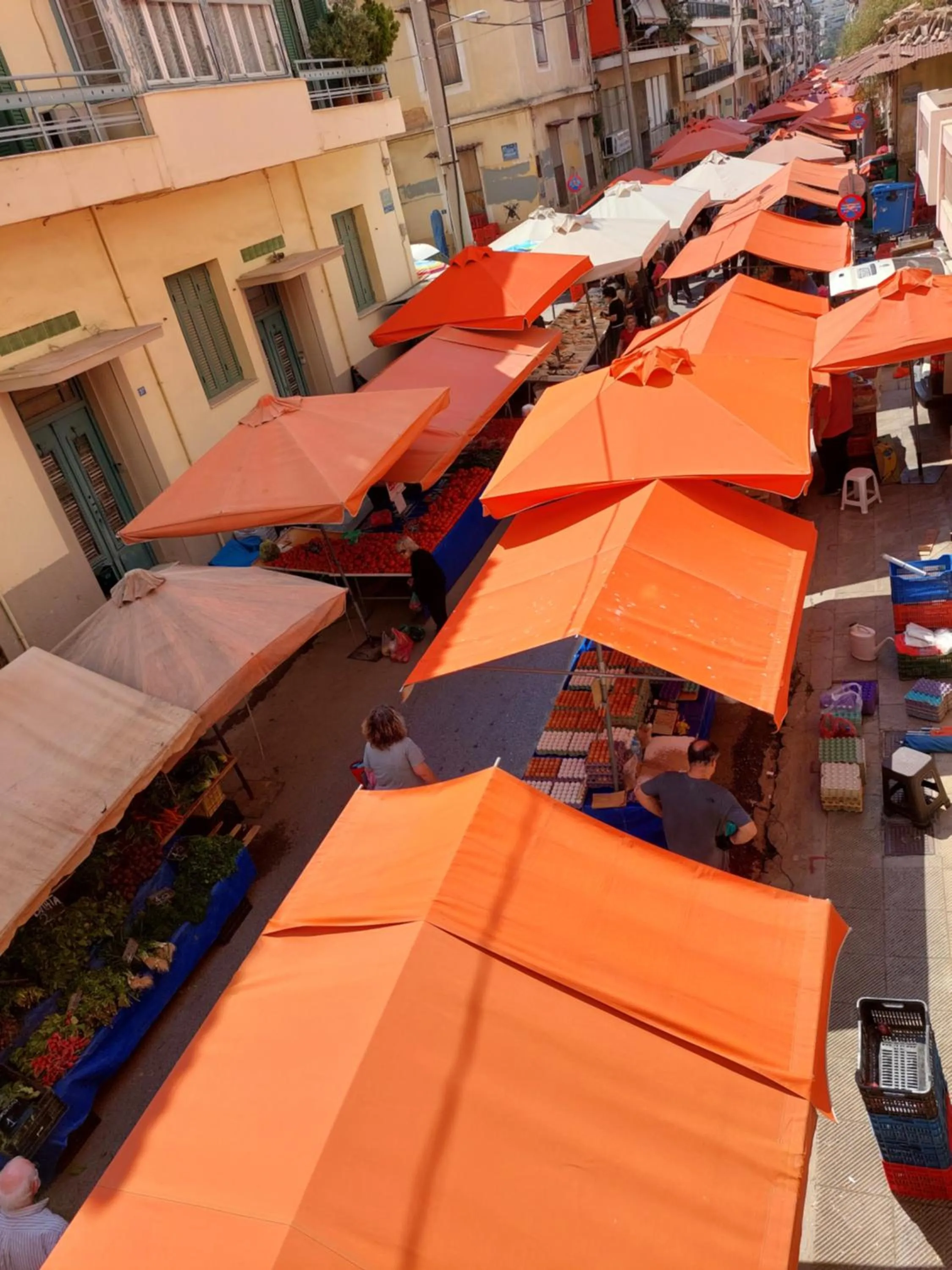 Neighbourhood in Dinostratus House