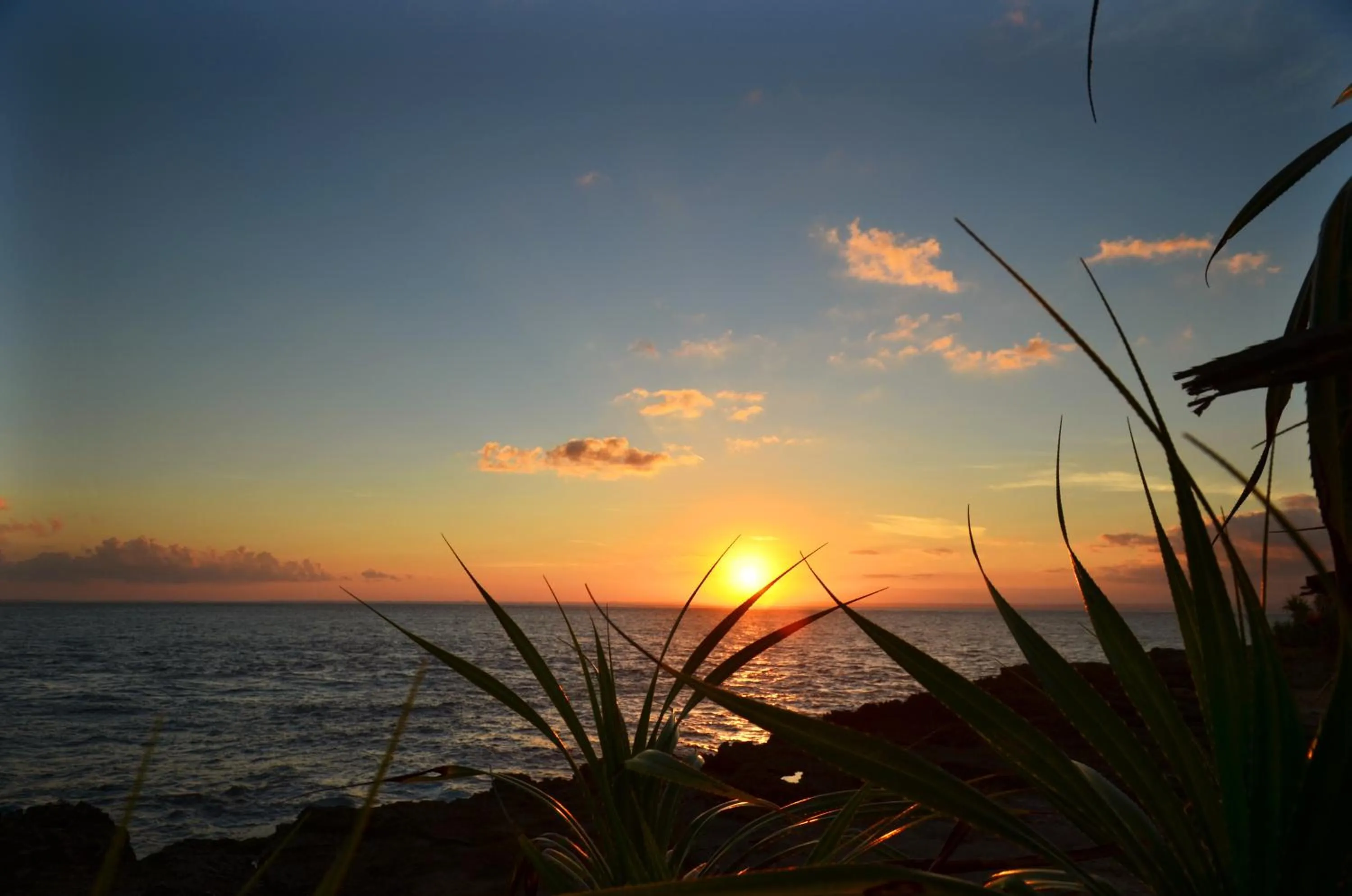 Natural landscape in Sedok Jineng Villa Lembongan