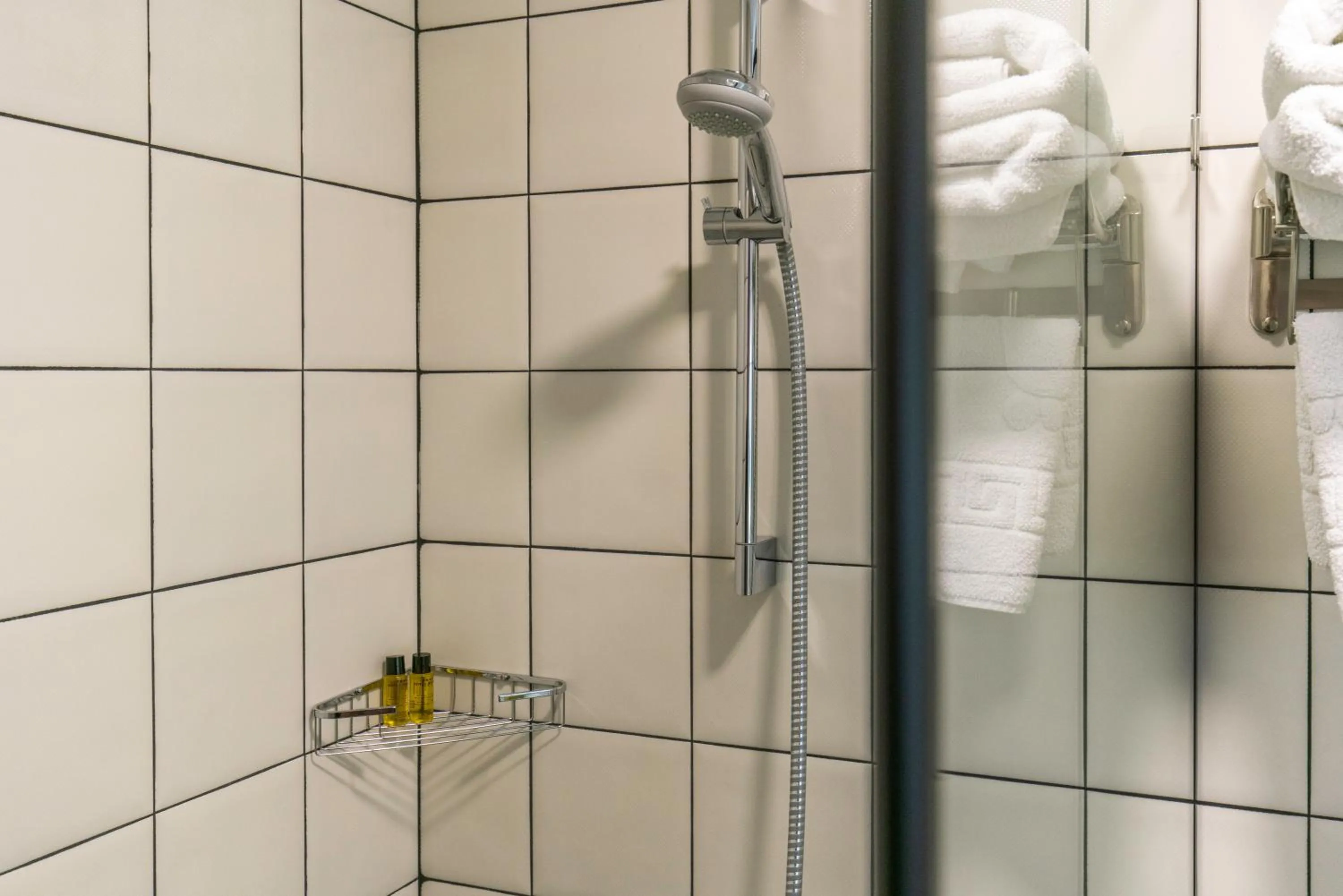 Shower in Hotel Flower