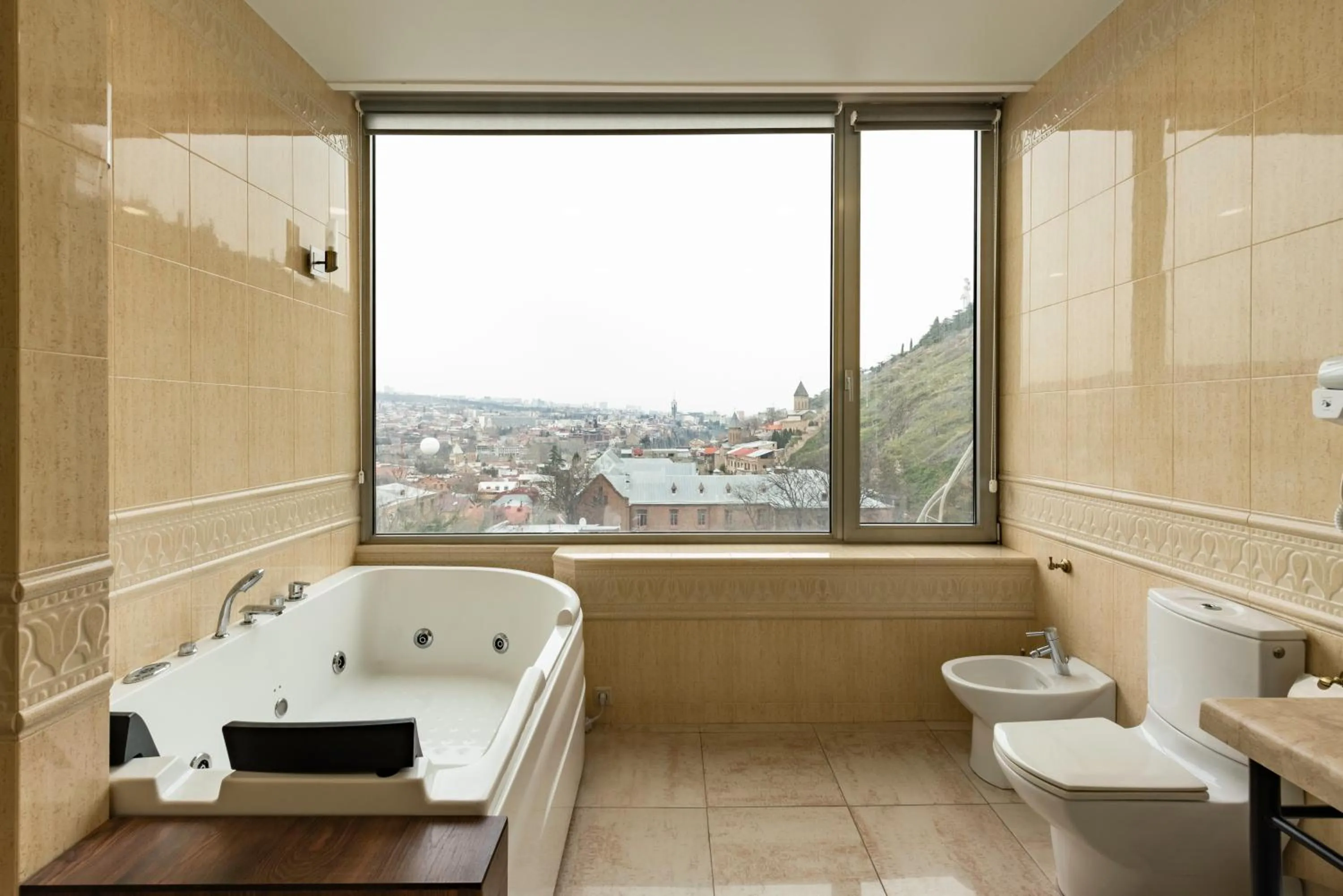 Mountain view in Hotel Flower