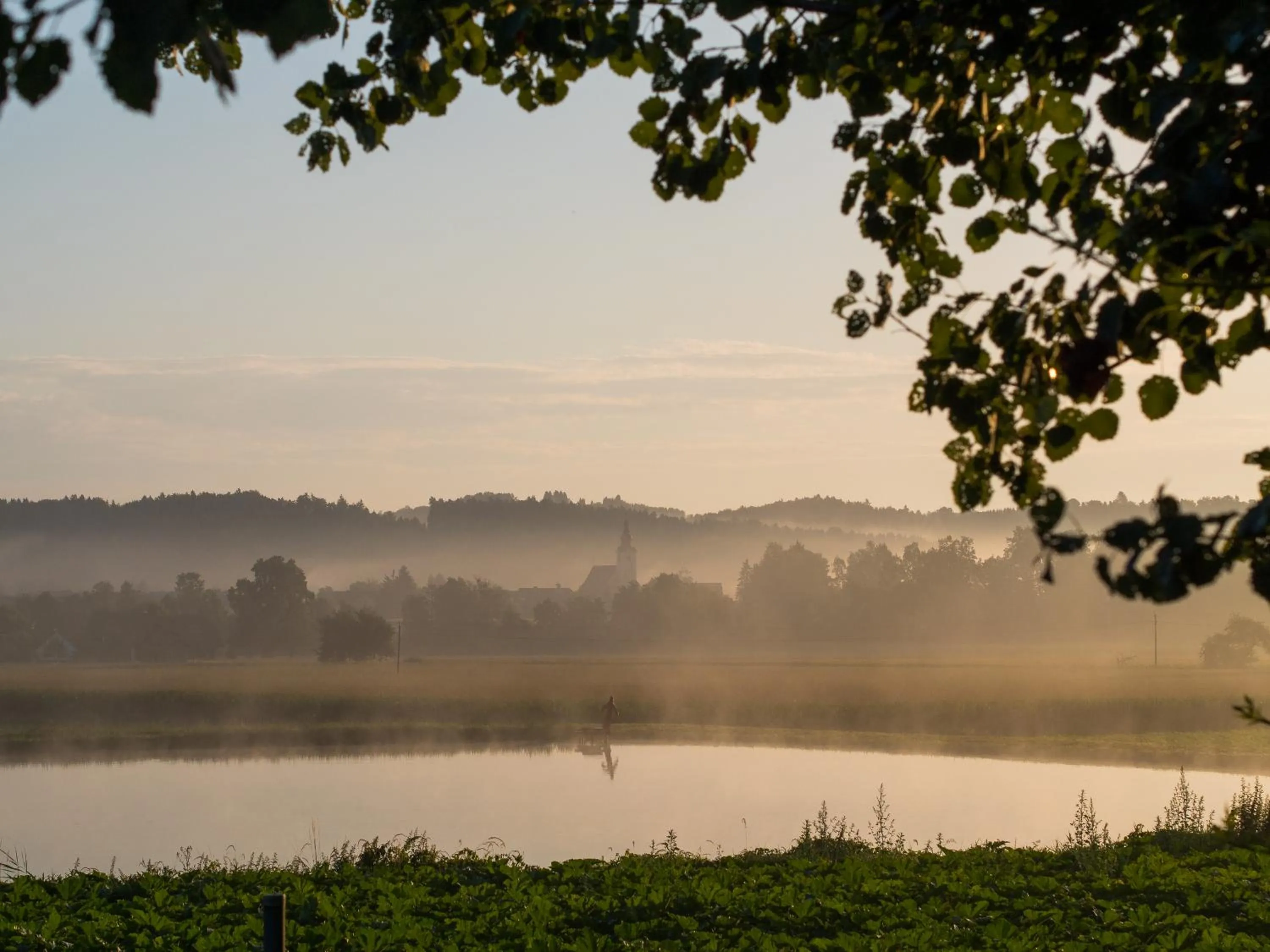 Natural landscape in Gasthof Martinhof