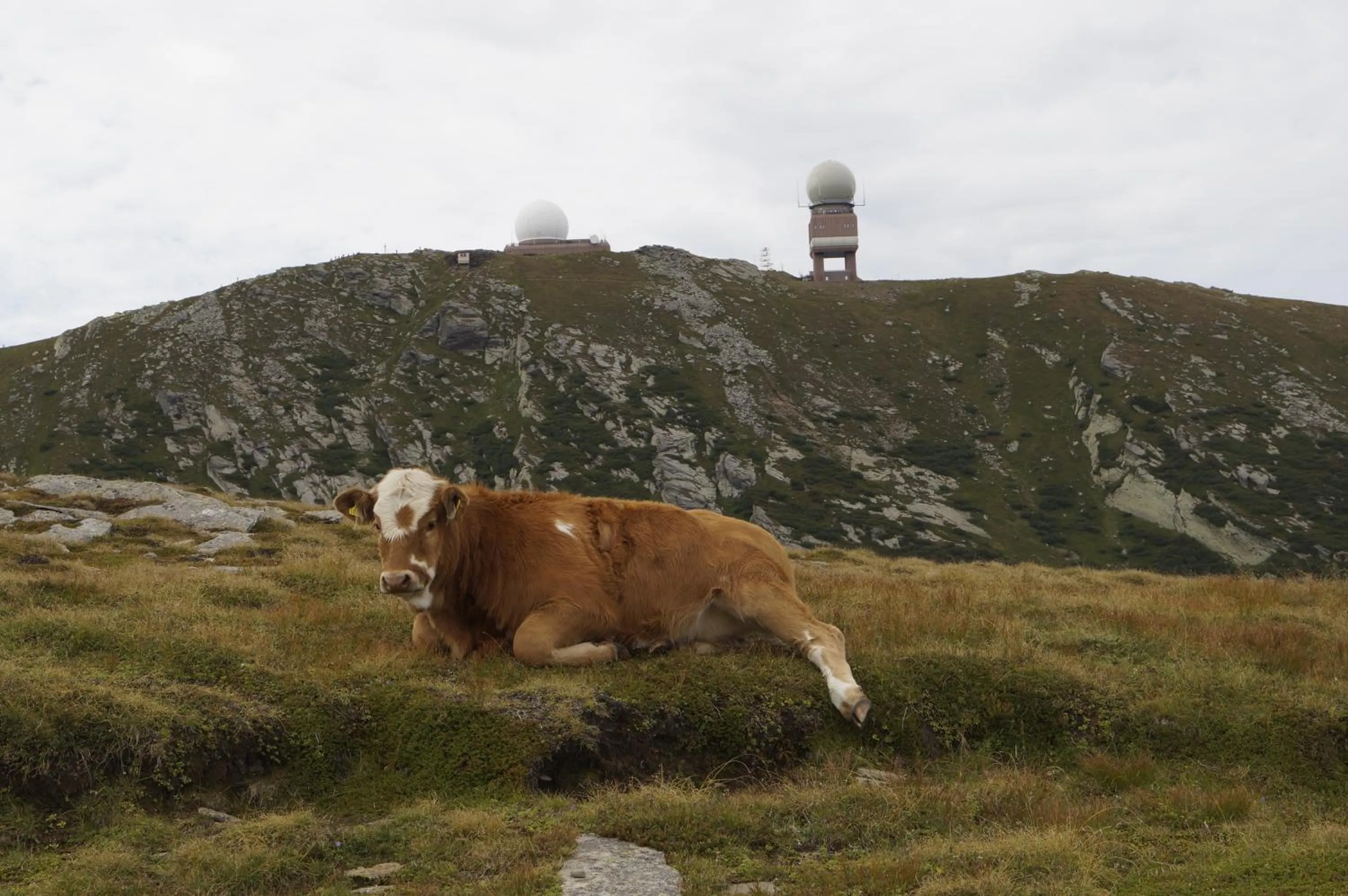 Area and facilities in Gasthof Martinhof