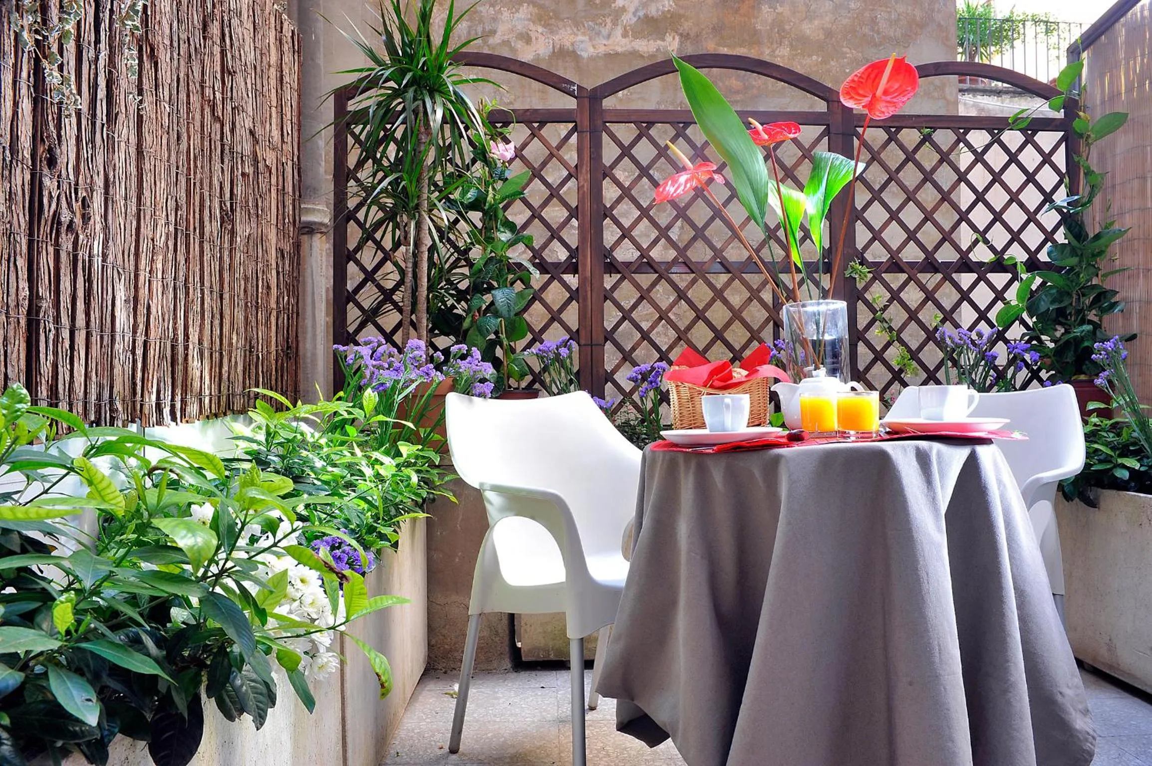 Breakfast in B&B Best Pantheon