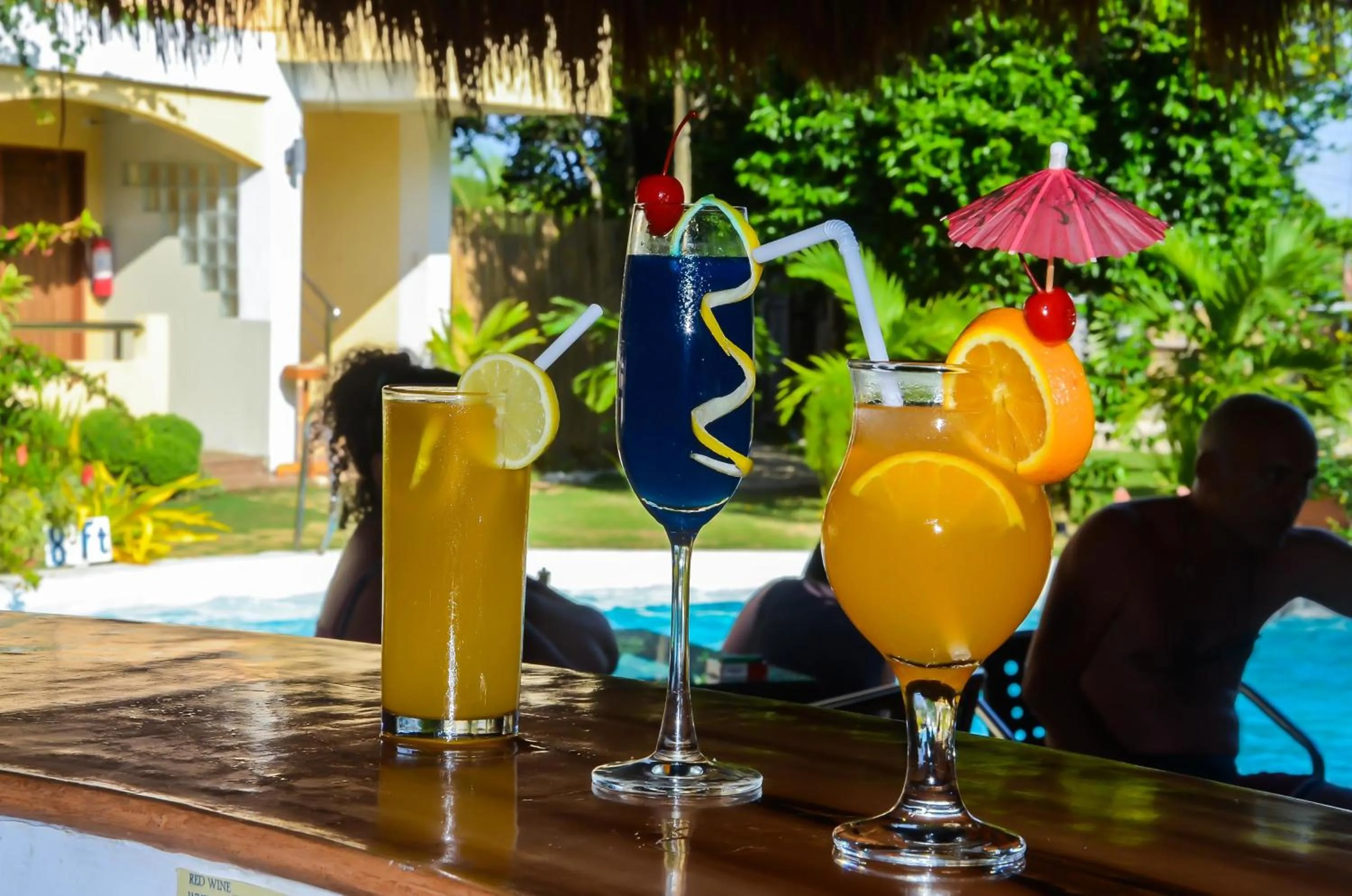 Drinks in Vanilla Sky Dive Resort