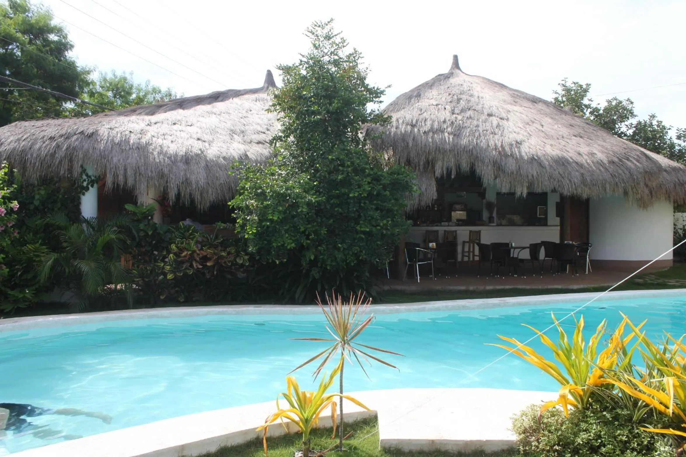 Lounge or bar in Vanilla Sky Dive Resort