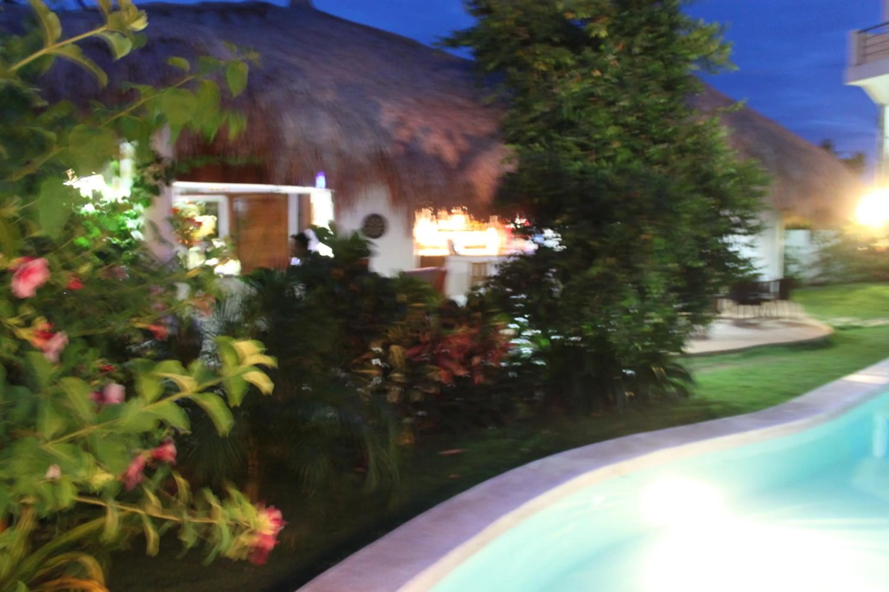 Swimming pool in Vanilla Sky Dive Resort