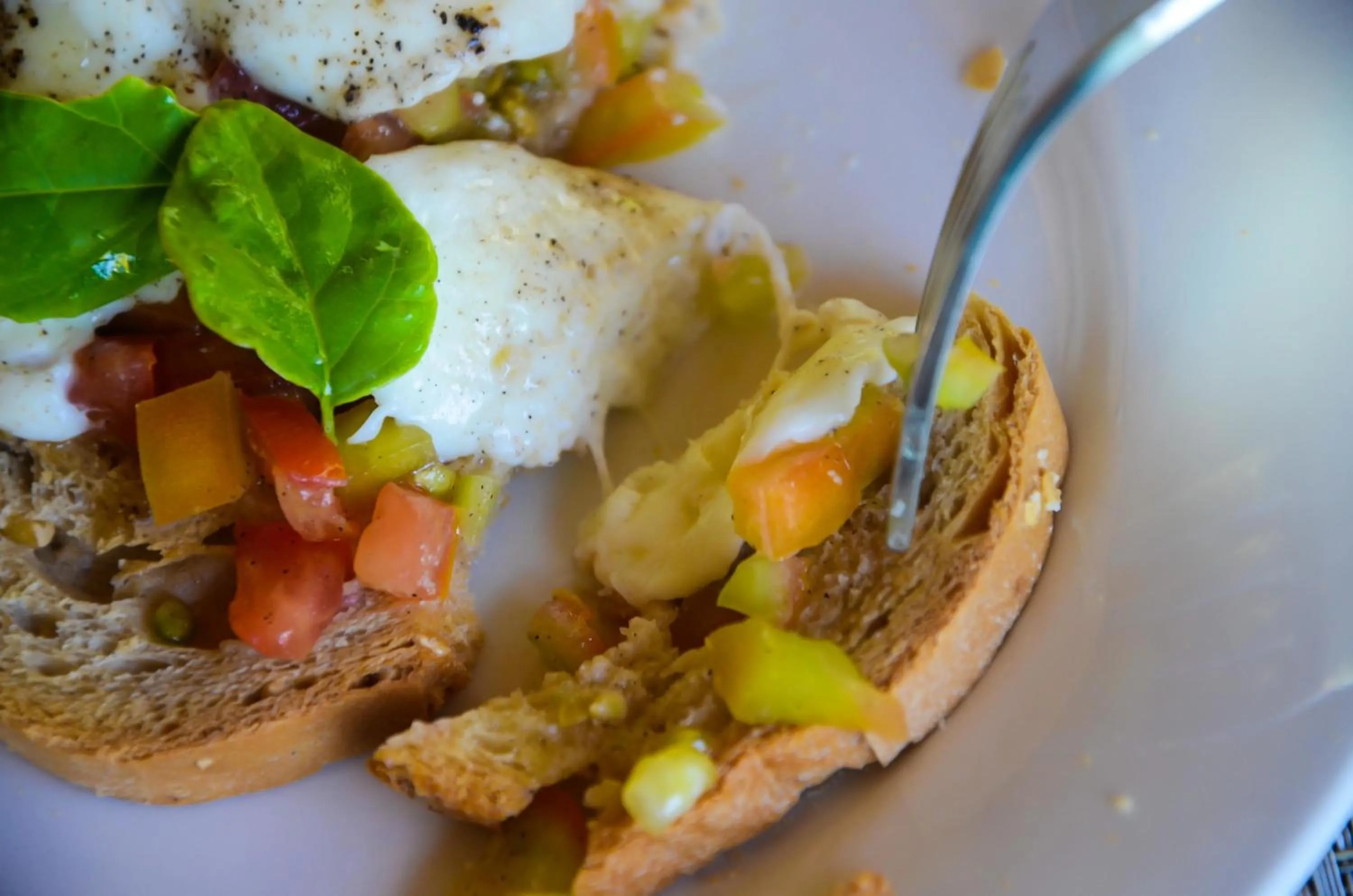 Food in Vanilla Sky Dive Resort