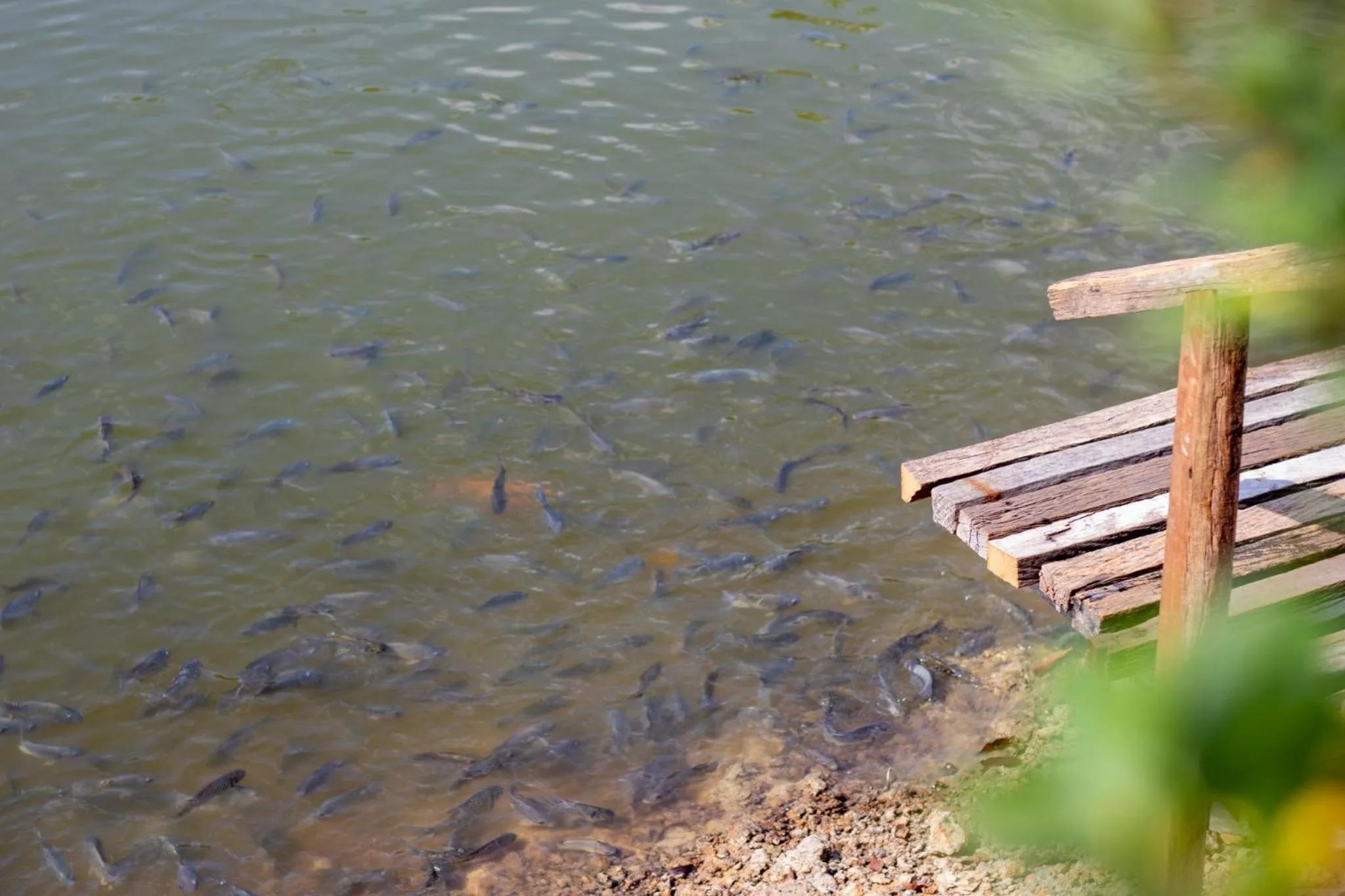 Baan Suan Ramita Resort