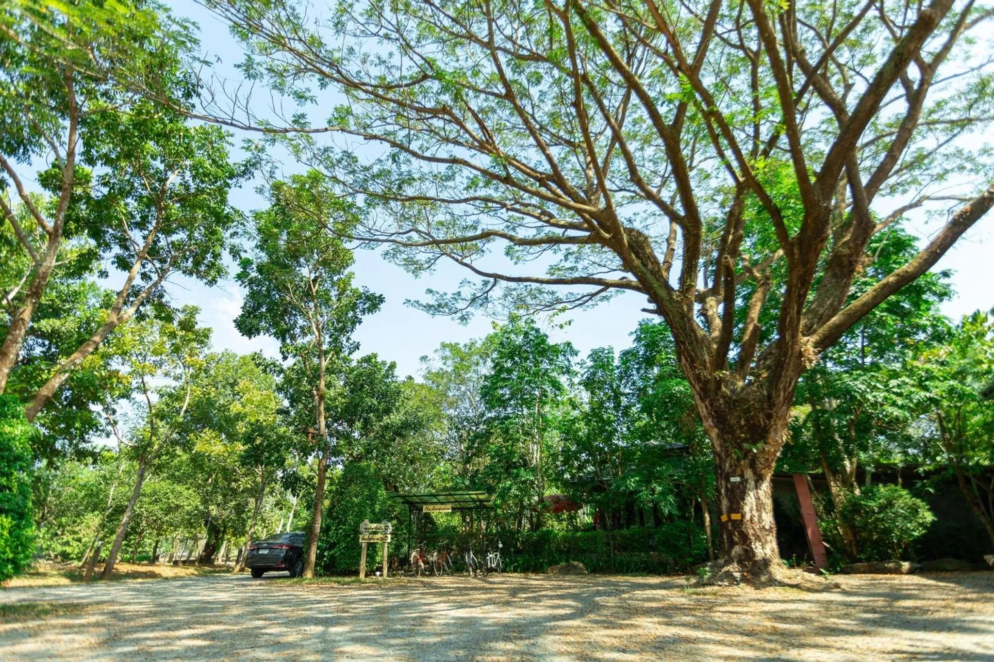 Cycling in Baan Suan Ramita Resort