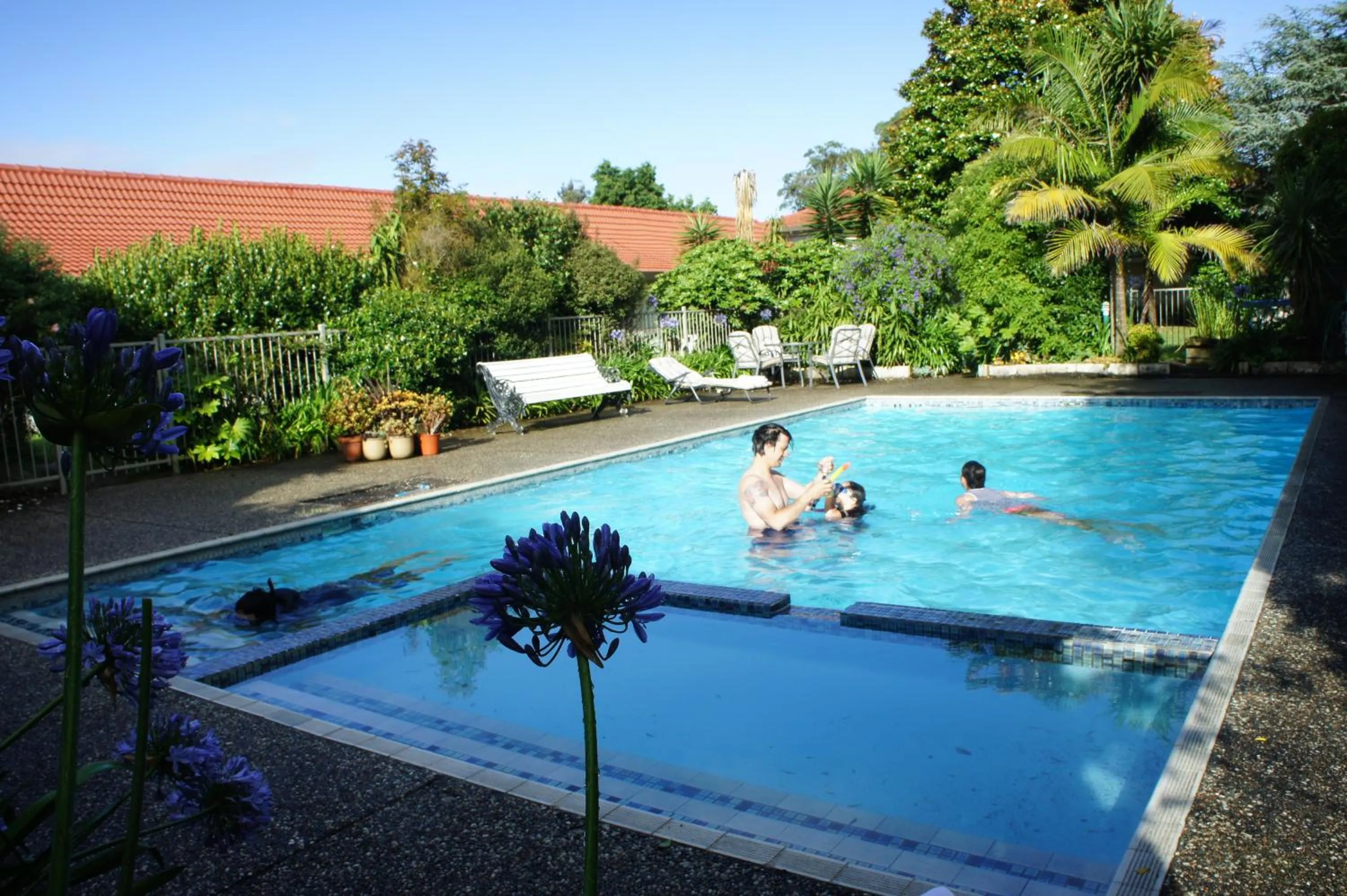 Garden in Airport Gold Star Motel