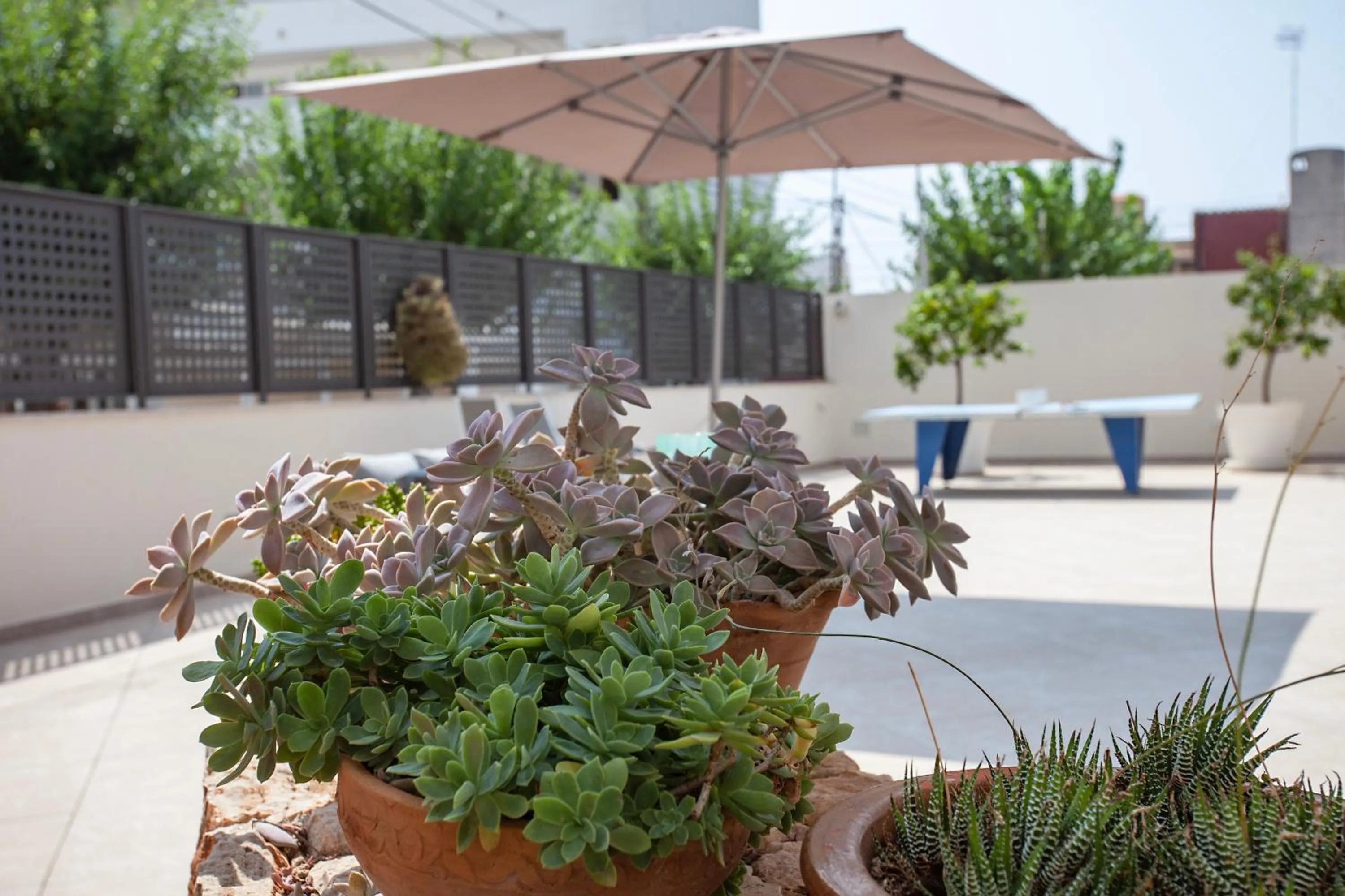 Off site in Hostal Residencia Sutimar