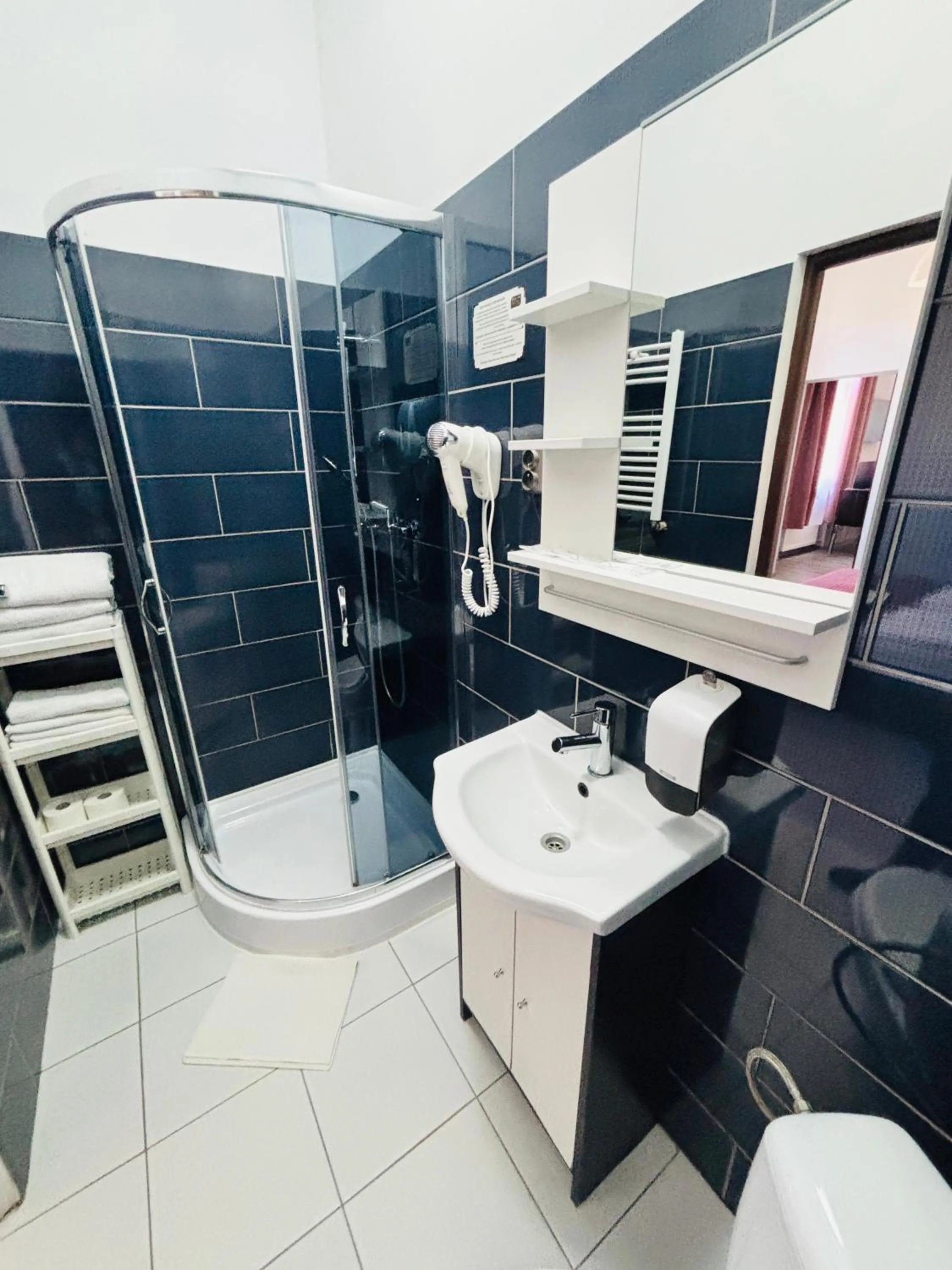 Shower in BedRooms Piotrkowska 64