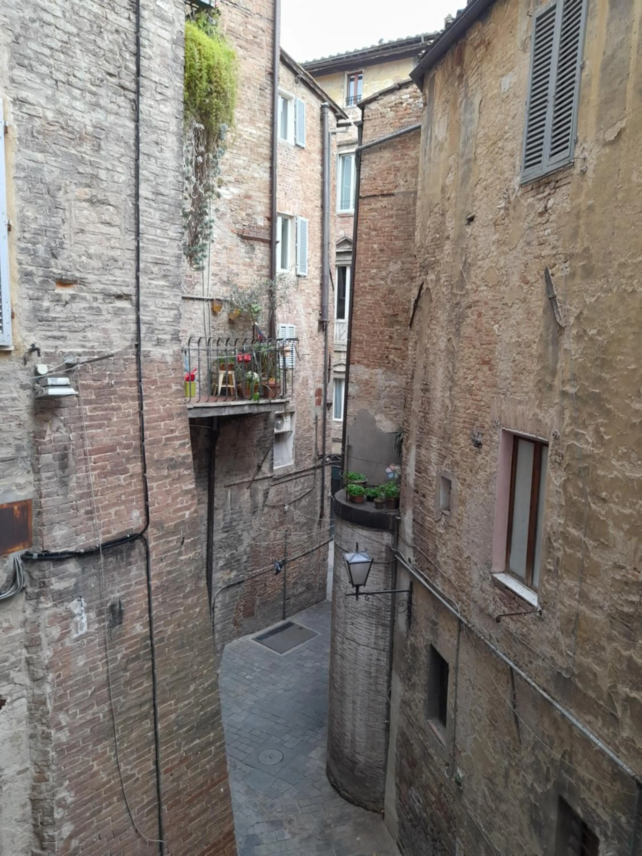 View (from property/room) in B&B Il Corso
