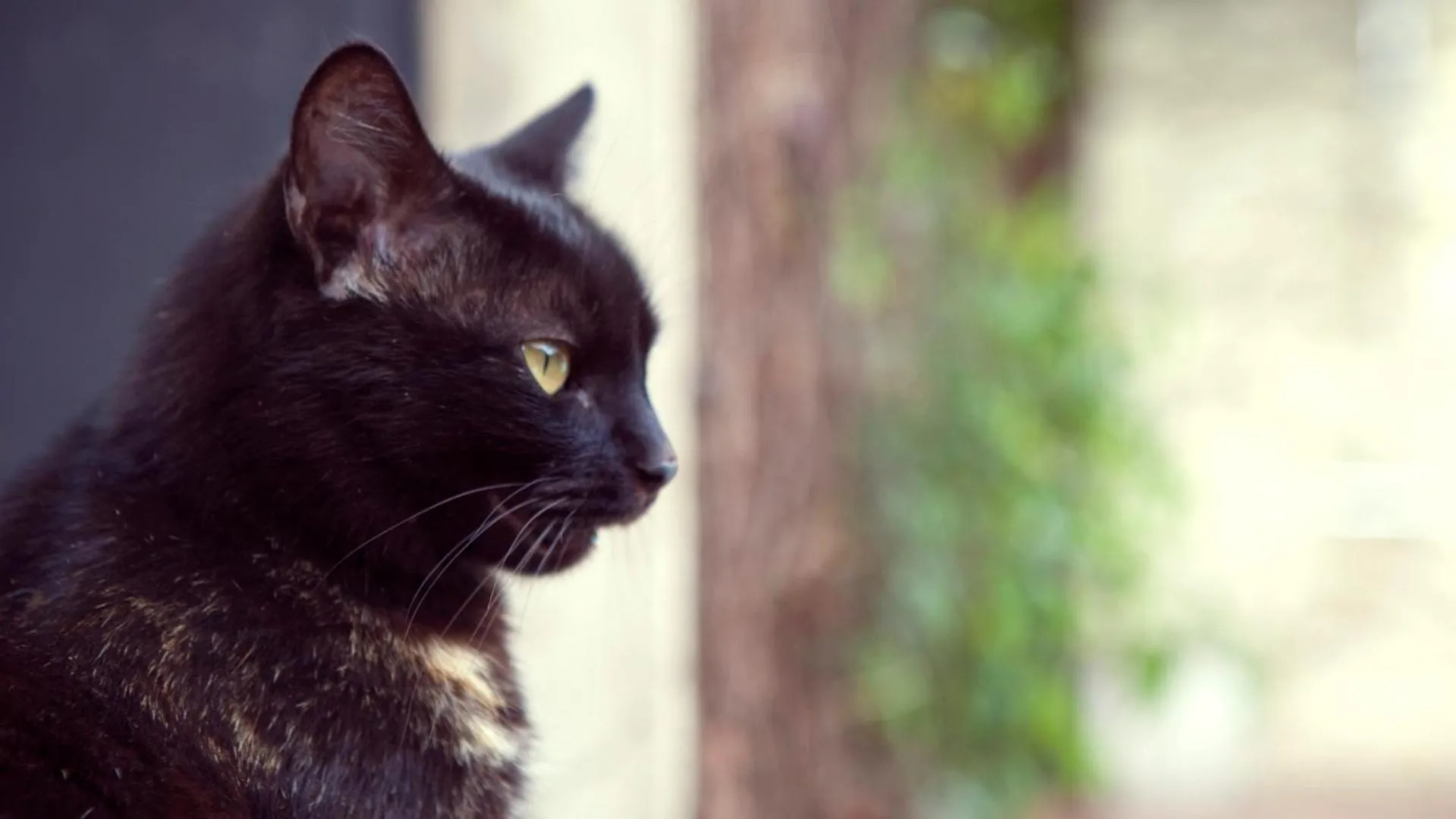 Garden in Home Hotel