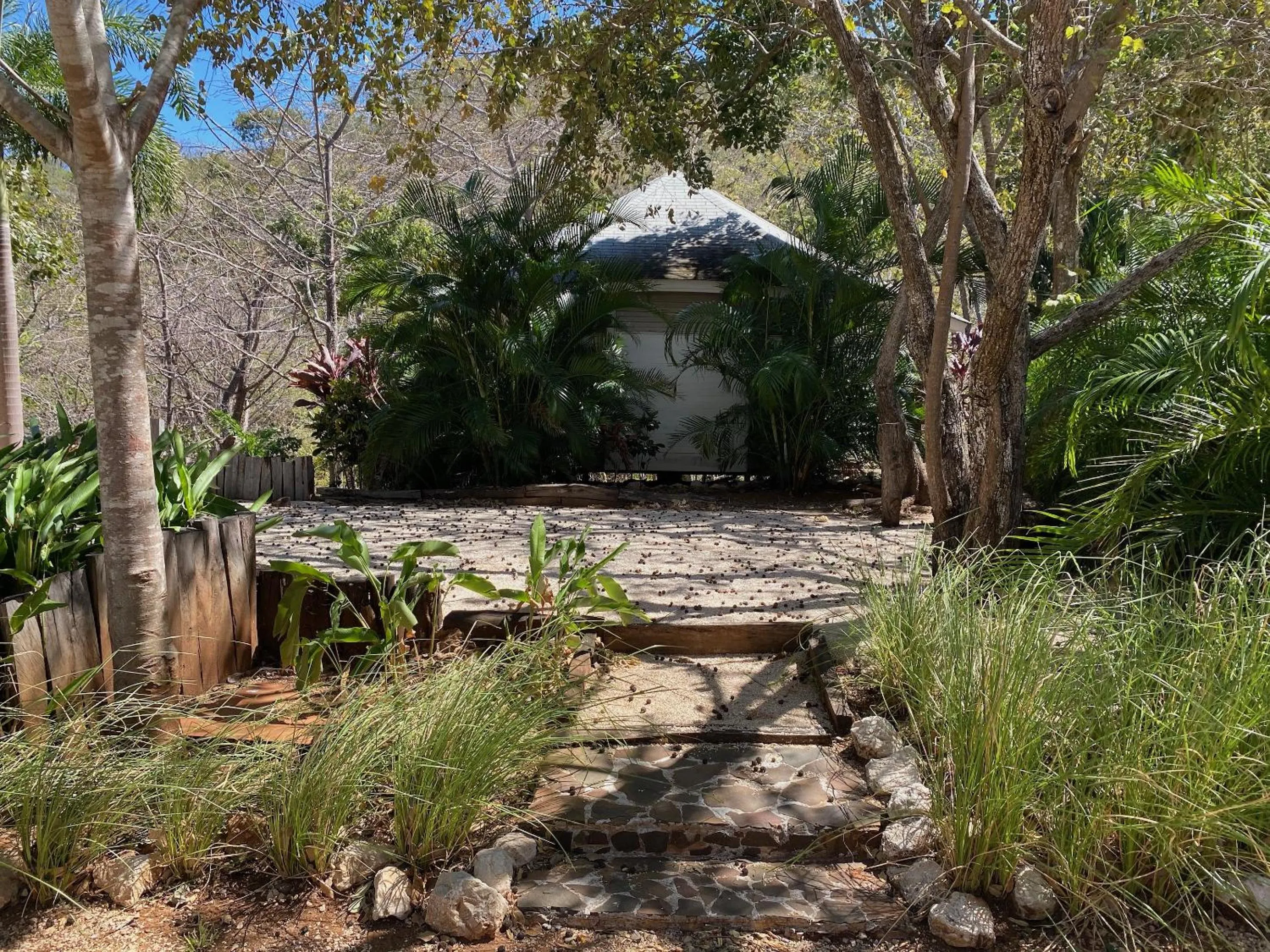 Natural landscape in Mikado Natural Lodge