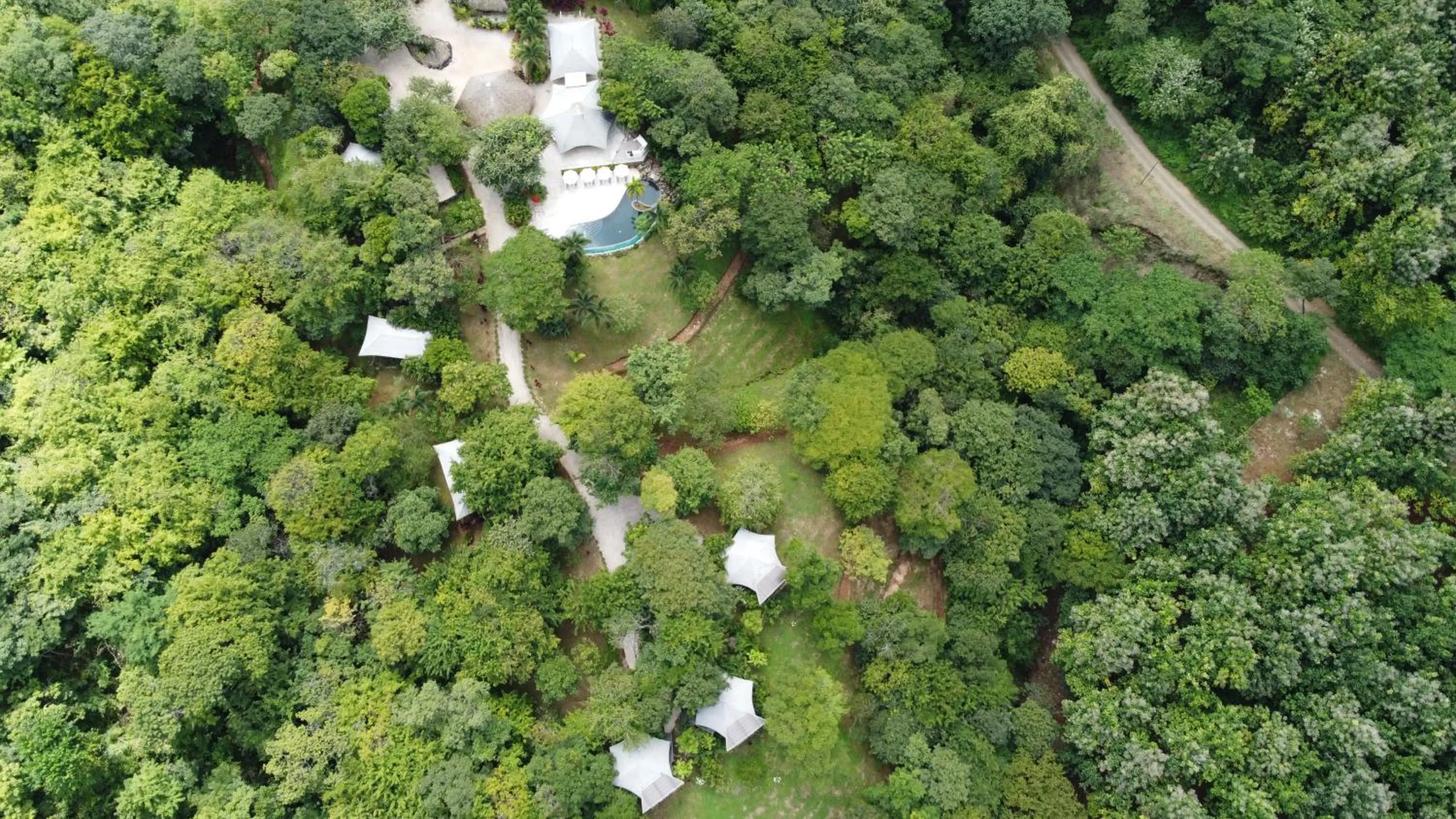Property building in Mikado Natural Lodge