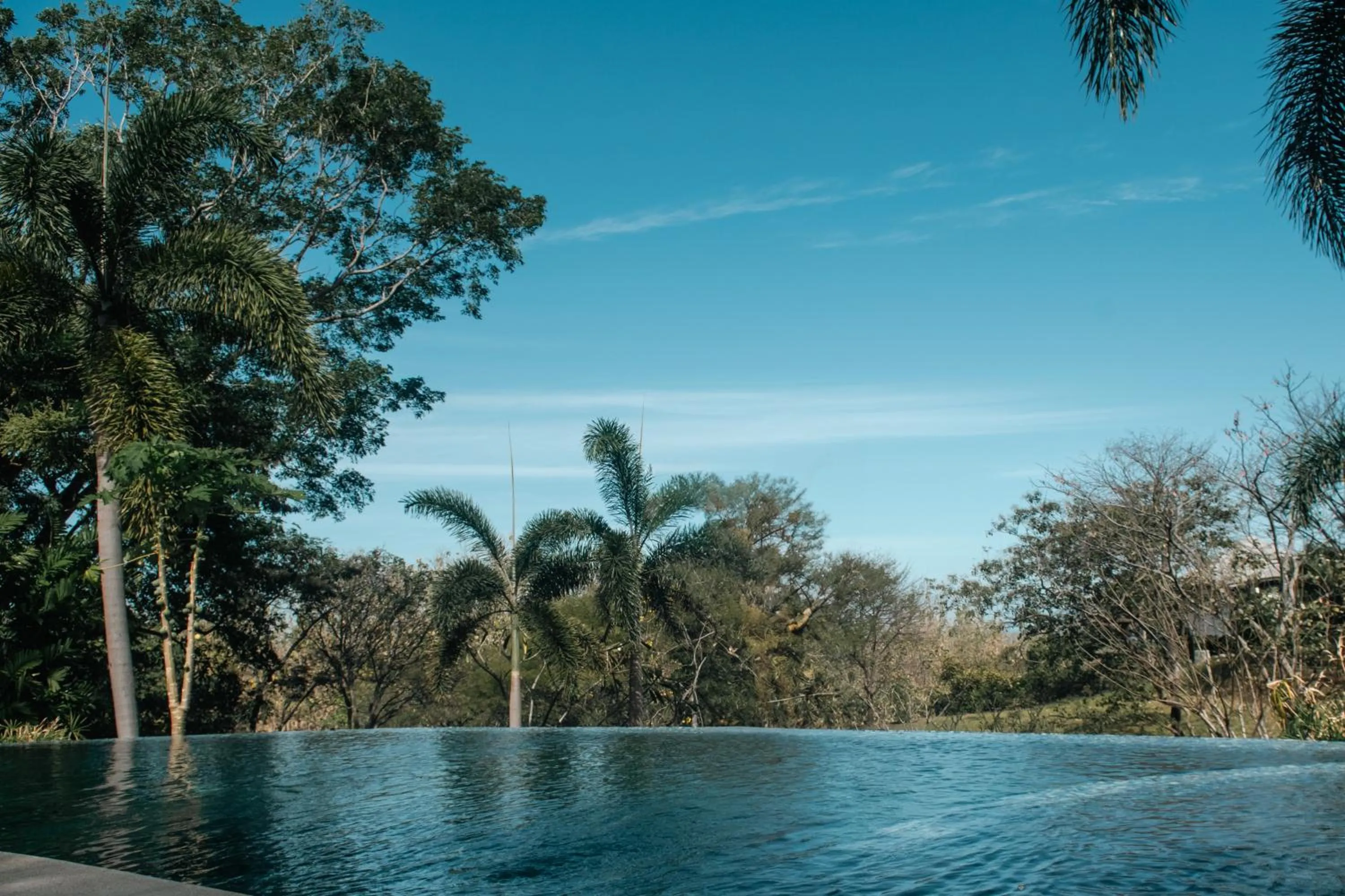 Natural landscape in Mikado Natural Lodge