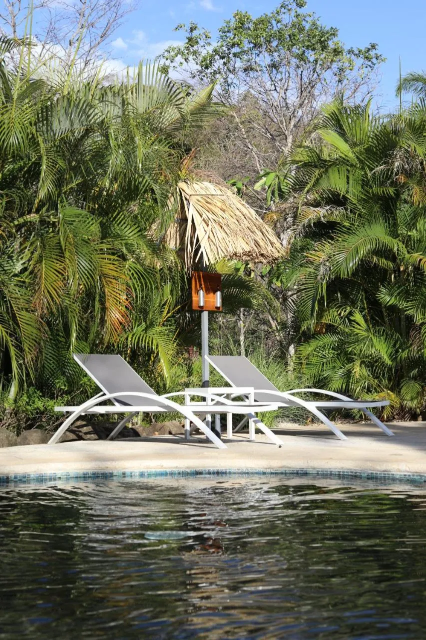 Day in Mikado Natural Lodge