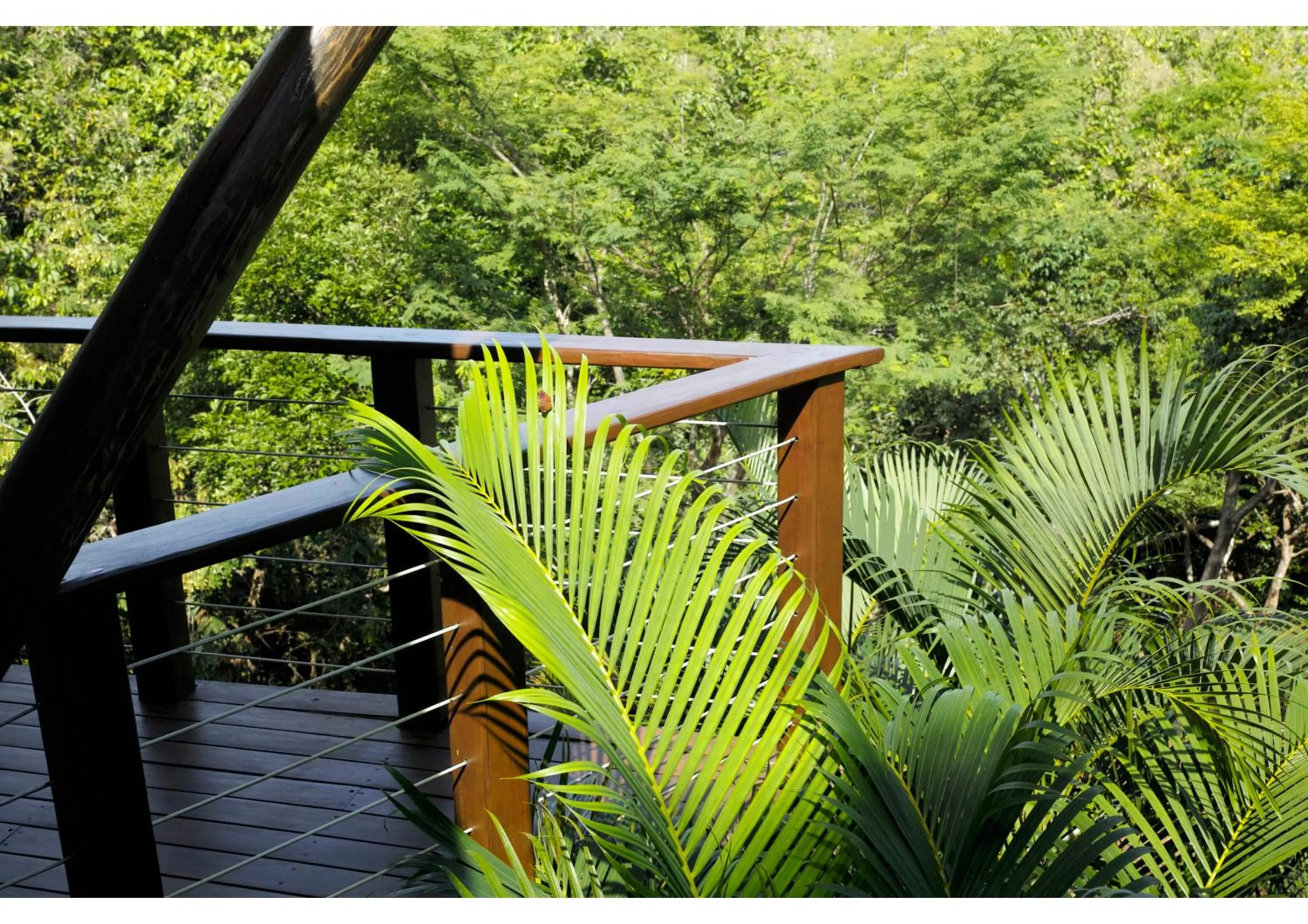 Garden view in Mikado Natural Lodge