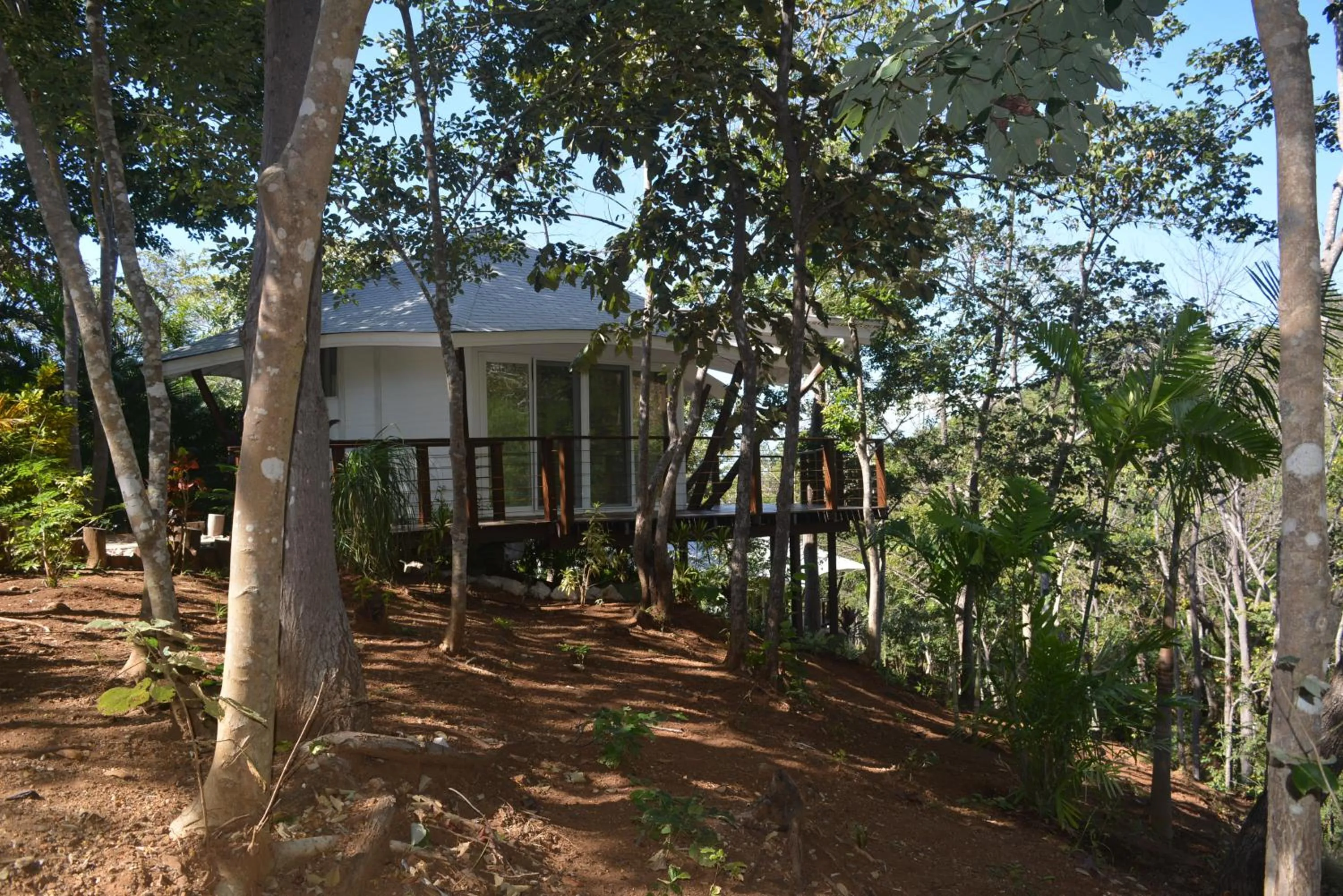 Garden in Mikado Natural Lodge
