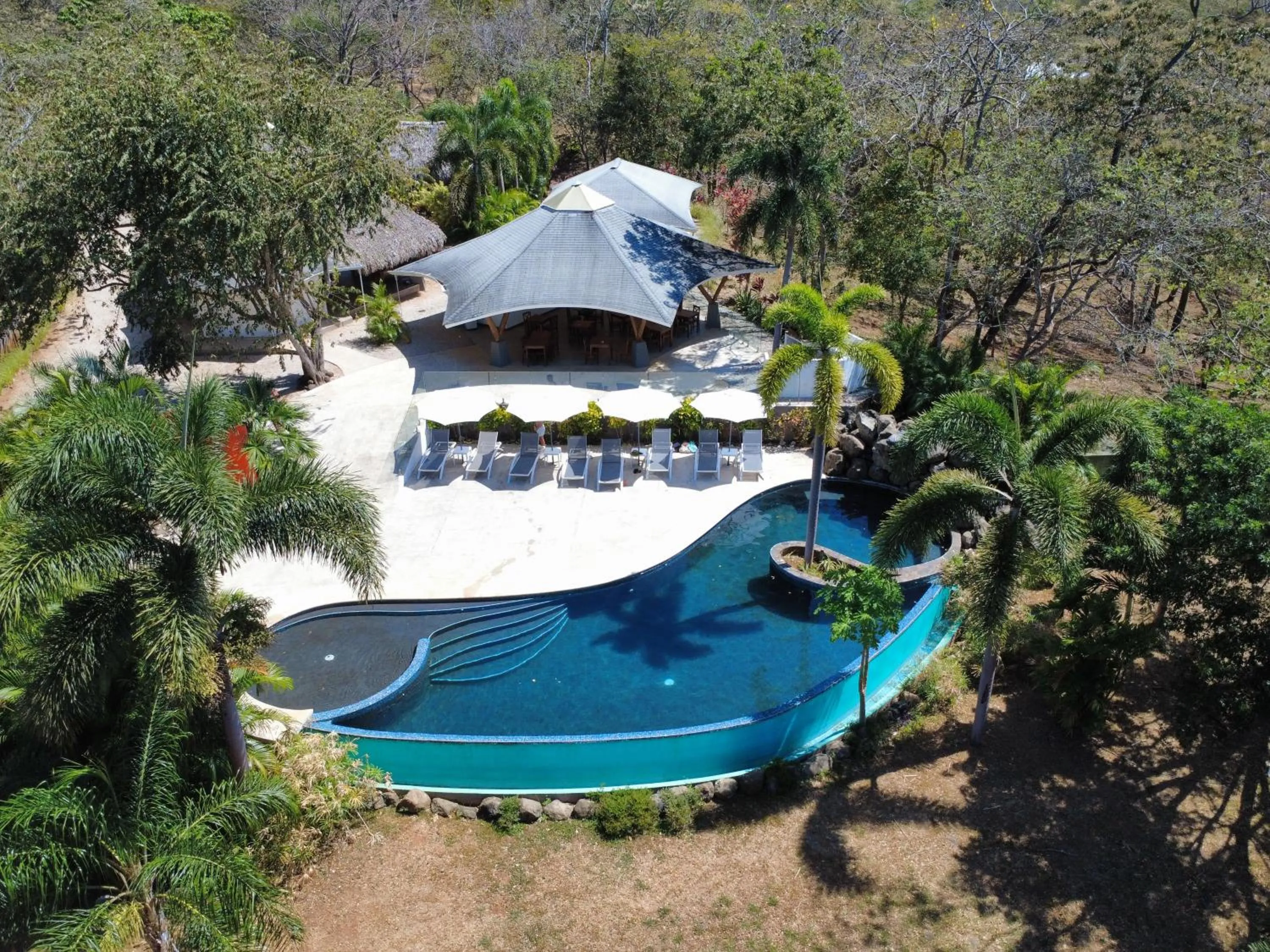 Swimming pool in Mikado Natural Lodge
