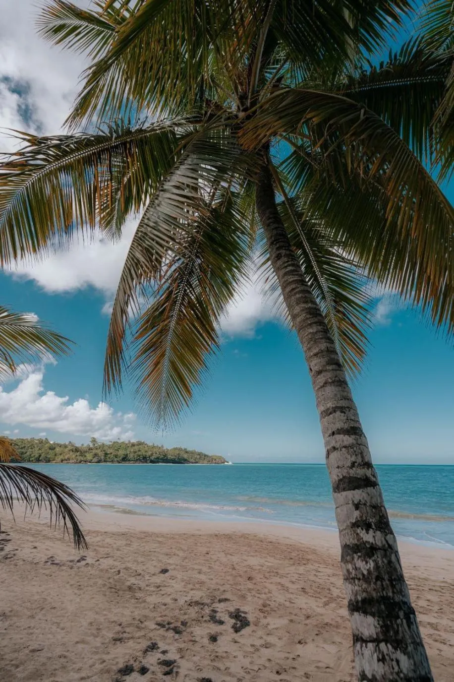 Beach in Condo Hotel Playa Las Ballenas