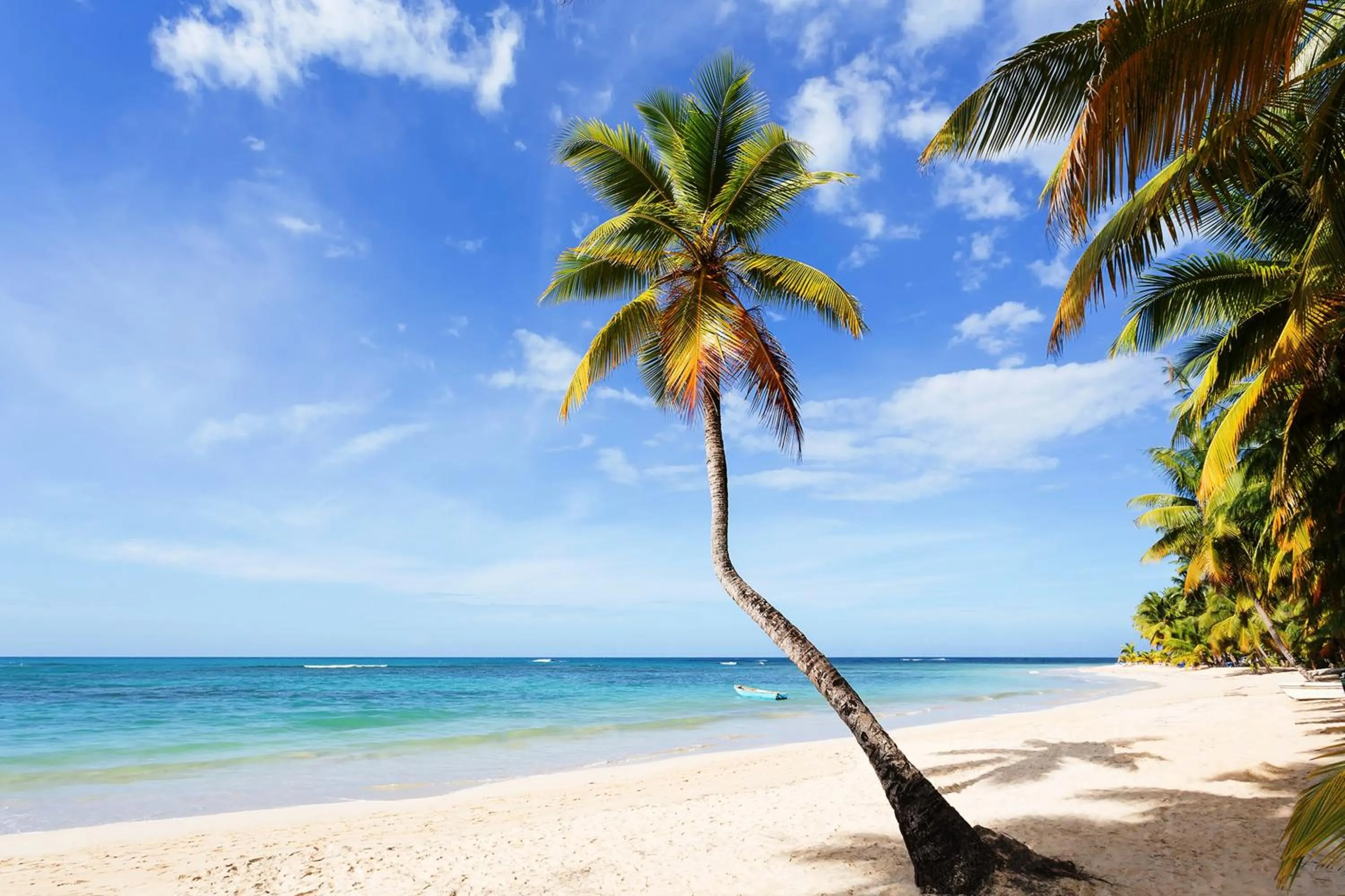 Off site in Condo Hotel Playa Las Ballenas