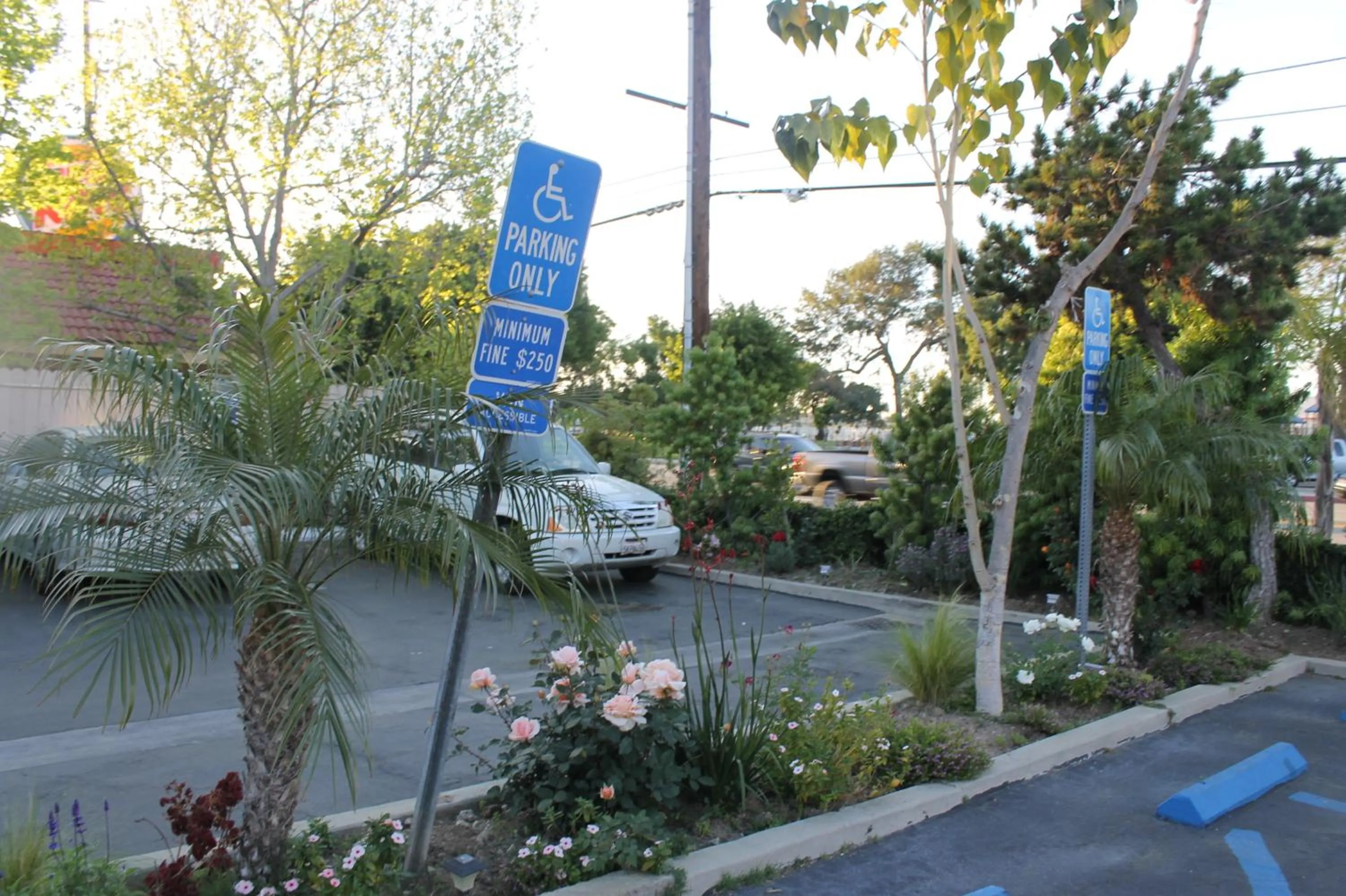 Day in El Rancho Inn