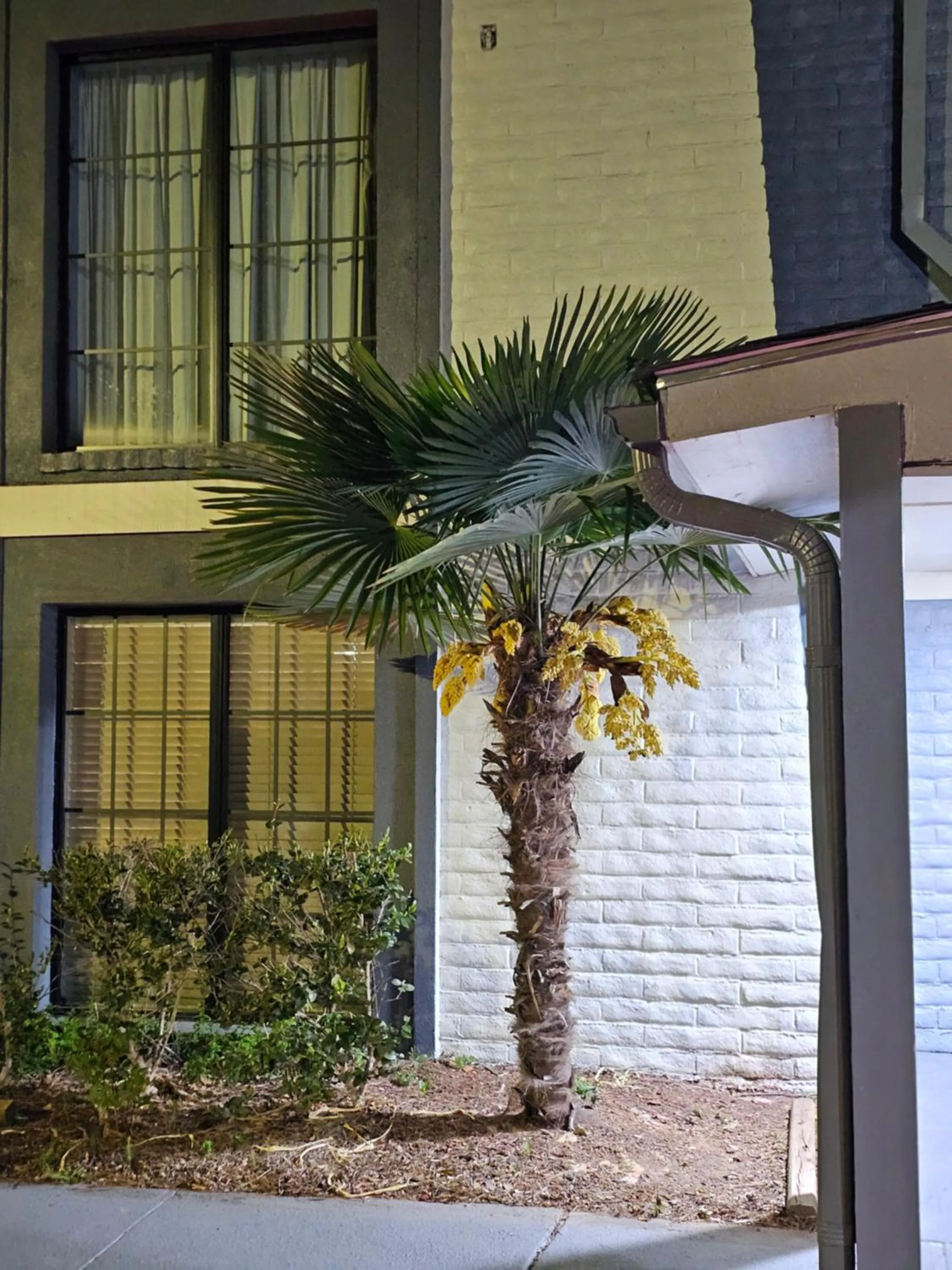 Property building in Knights Inn - Lithonia