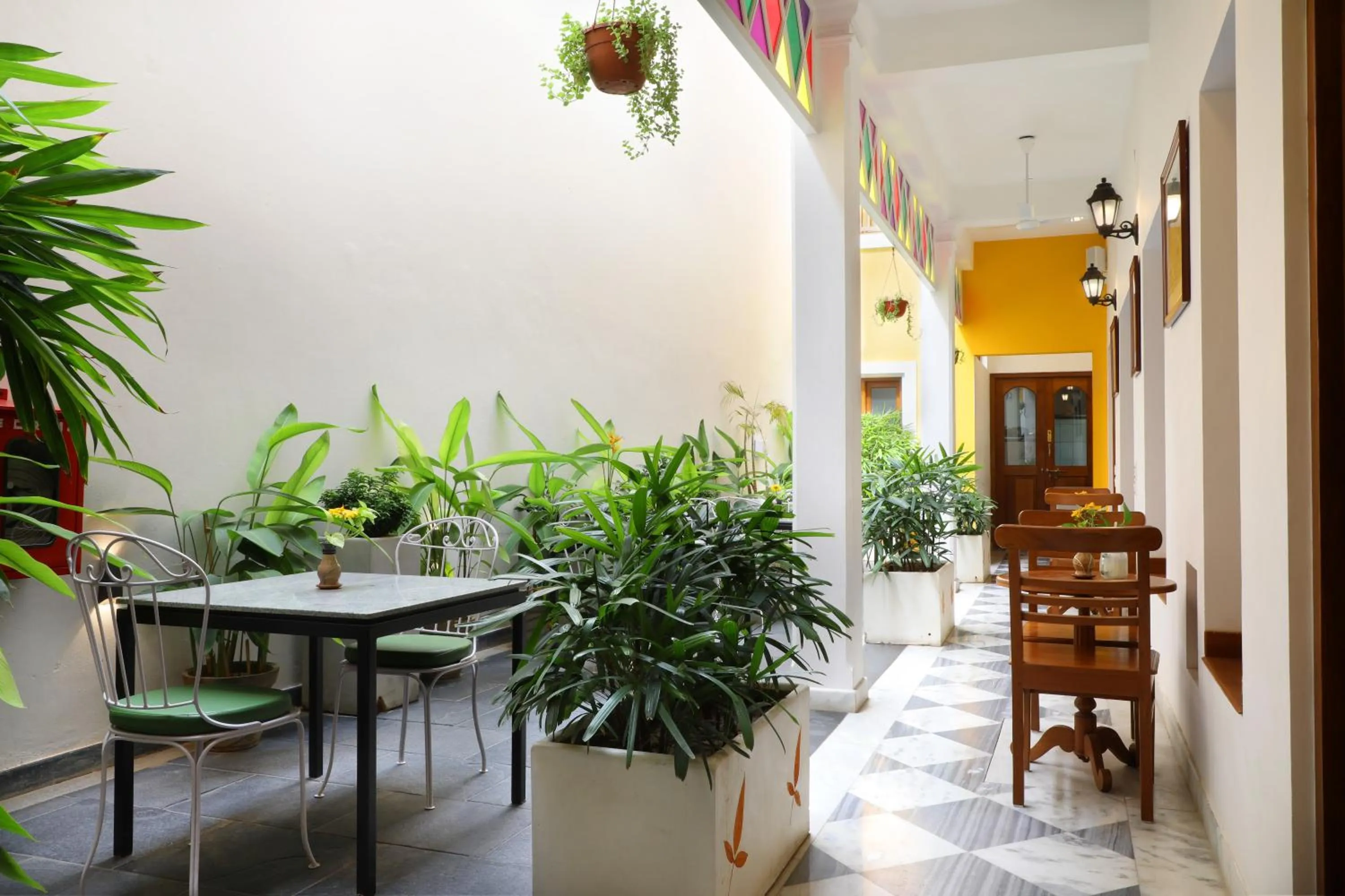 Garden in Petit Palais