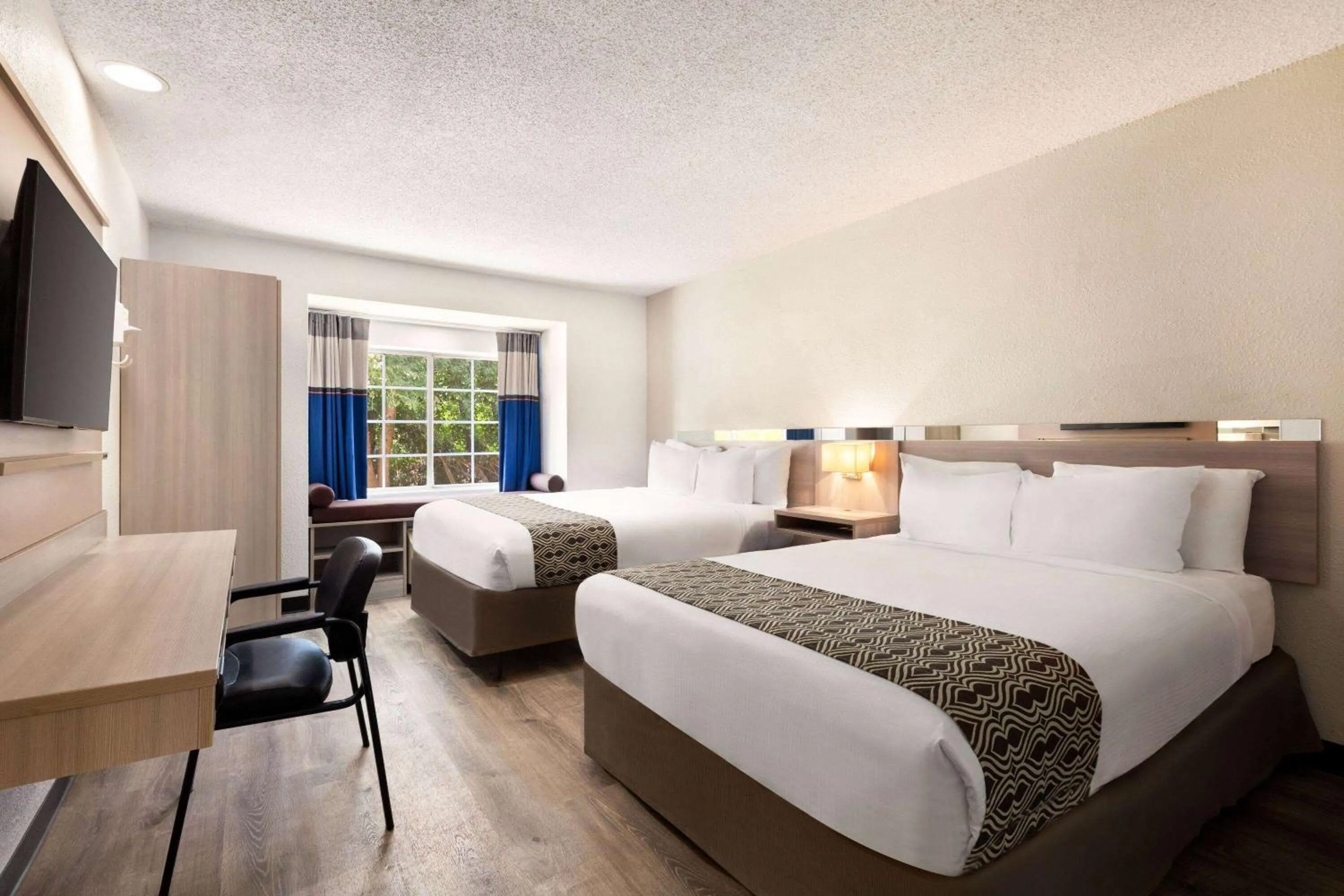 Photo of the whole room, Bed in Microtel Inn & Suites by Wyndham Florence/Cincinnati Airpo