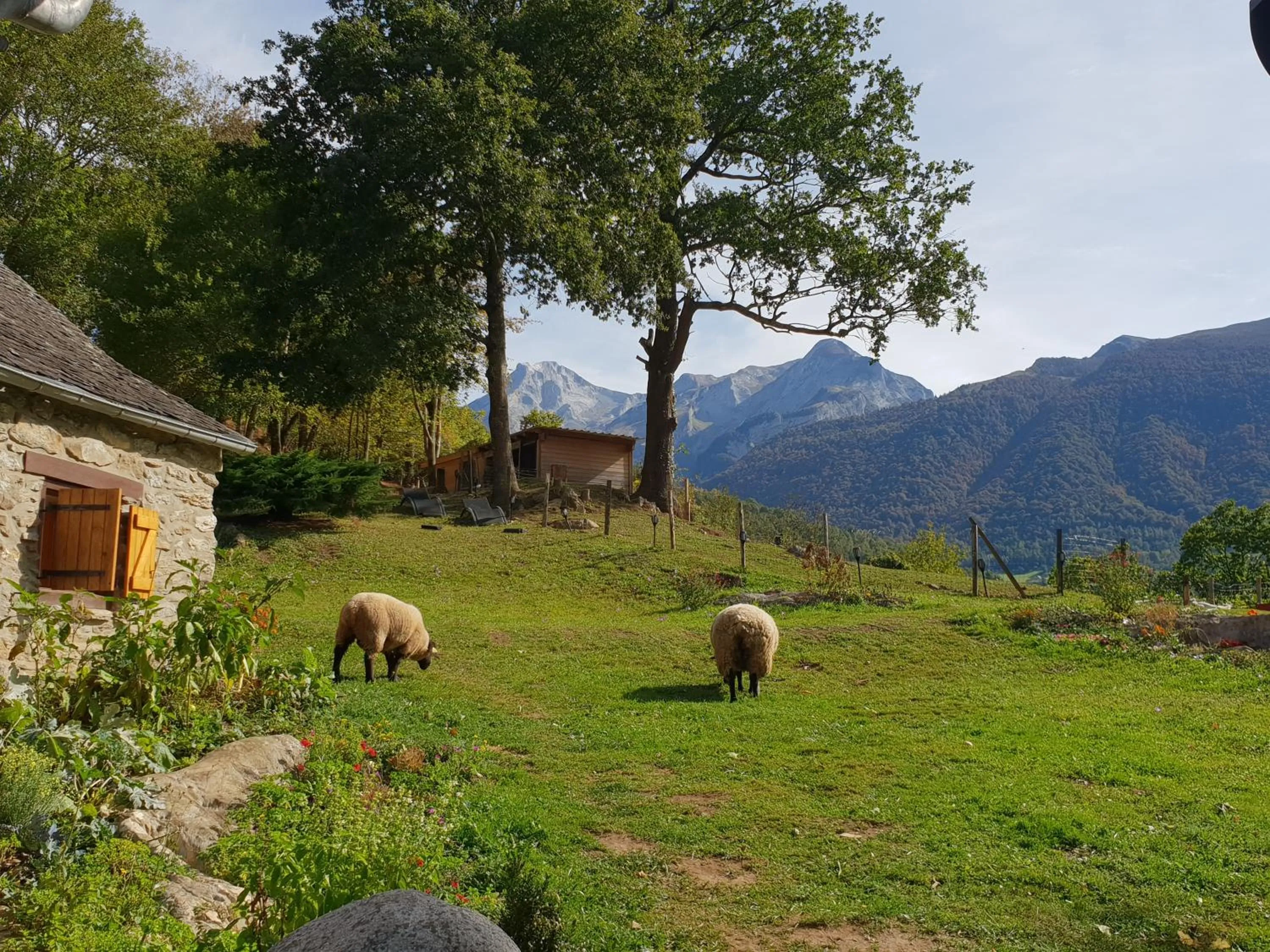Garden view in La Bergerie de Louvie