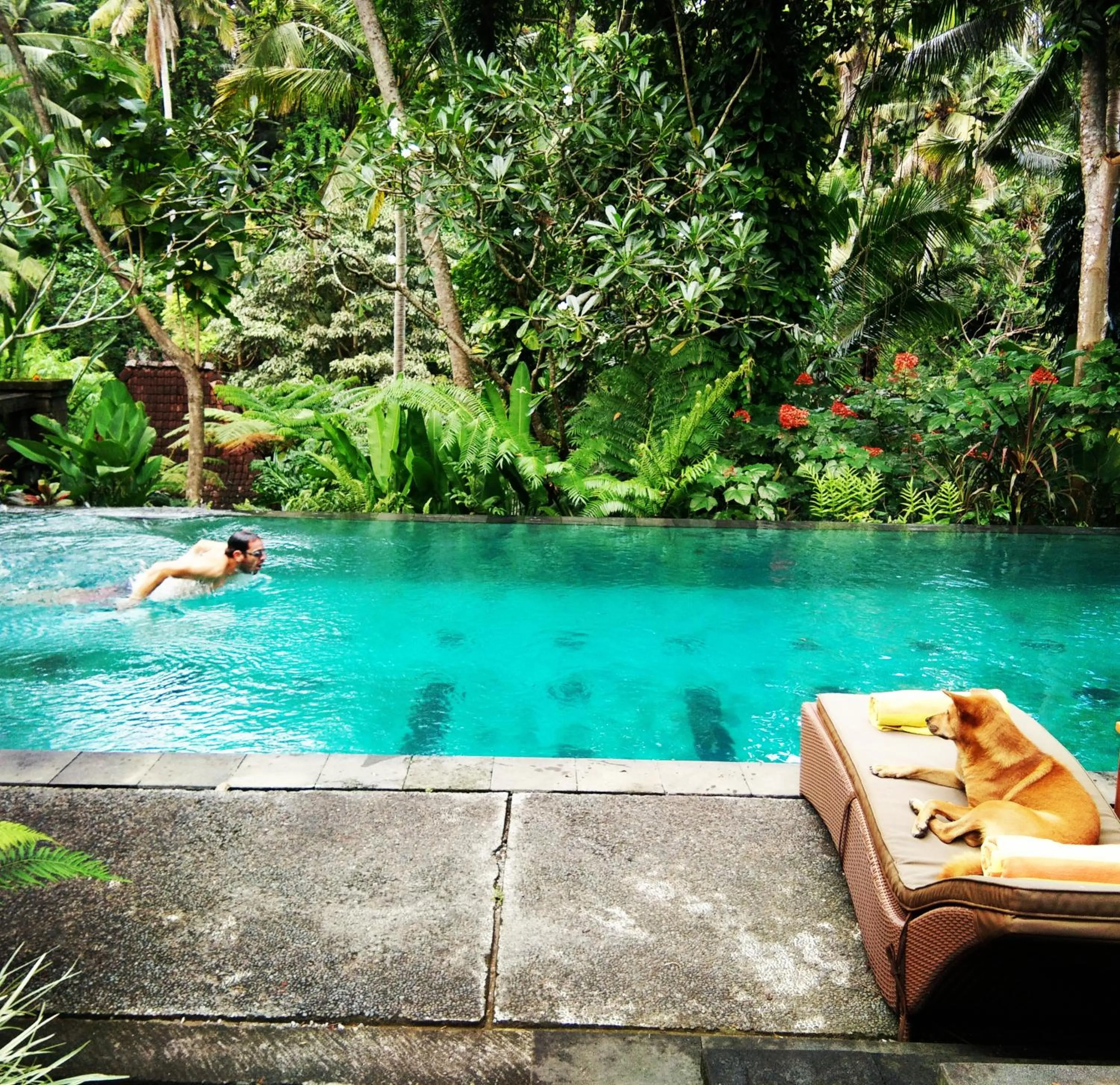 Pets in Villa Beji Indah