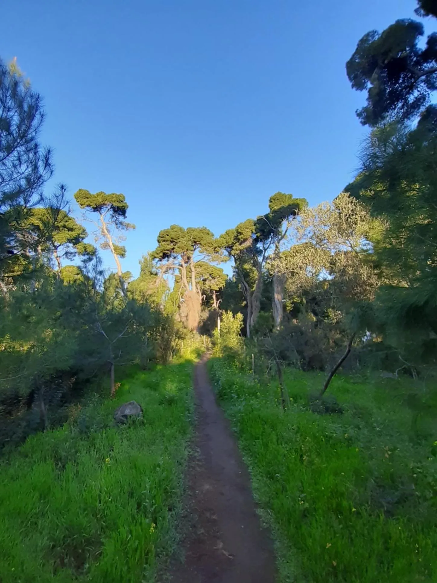 Natural landscape in Sugar Home