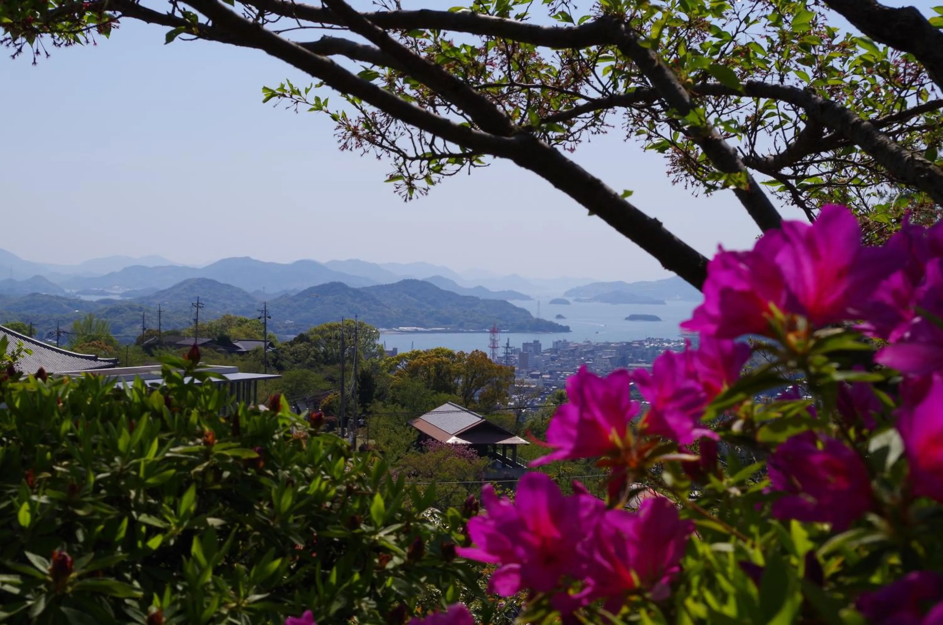 Natural landscape in Ryokan Urashima