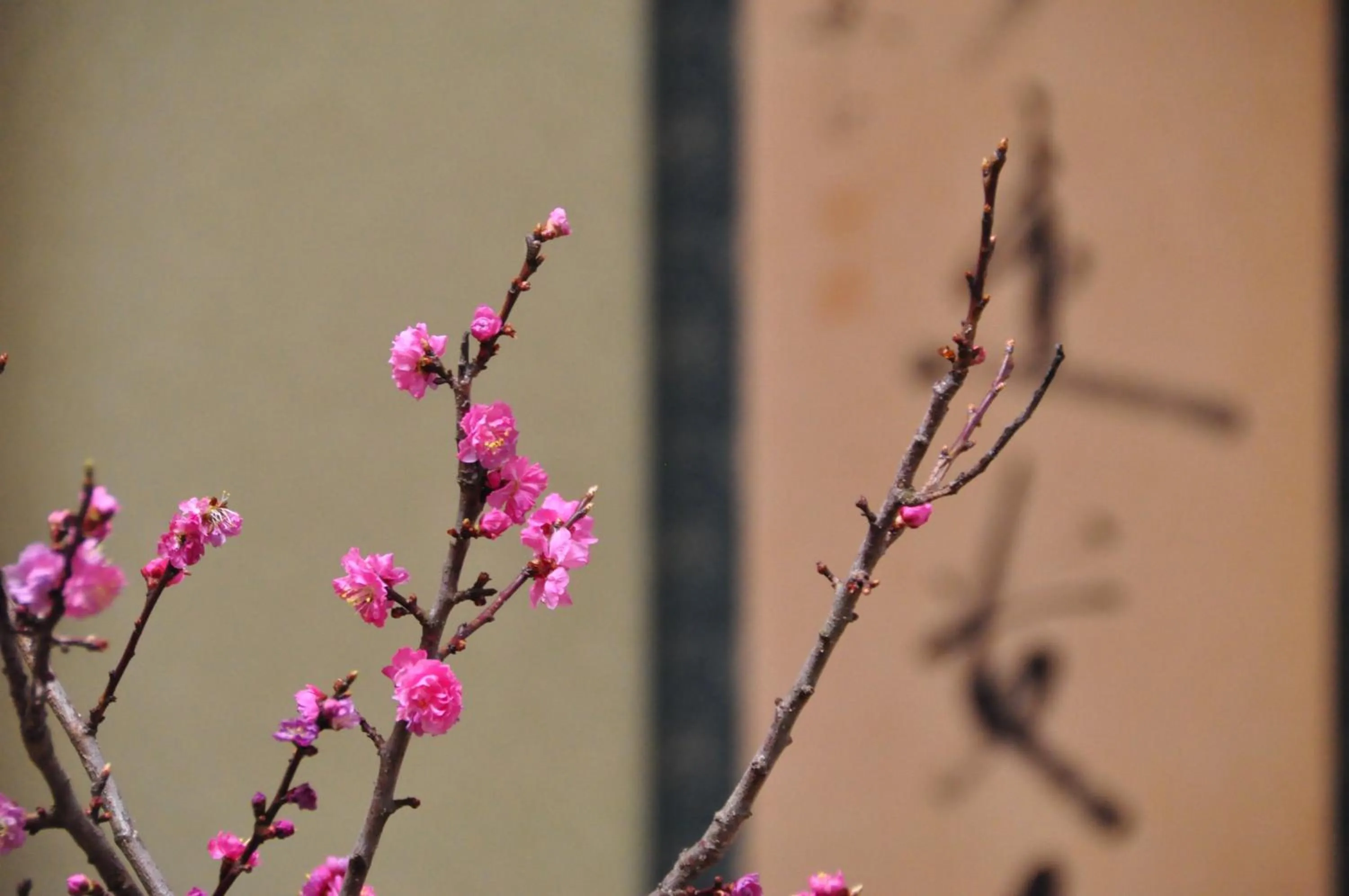 Decorative detail in Ryokan Urashima