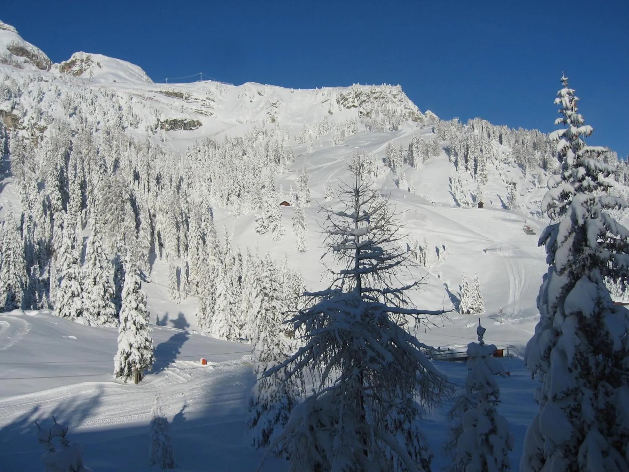 Natural landscape in Hotel Garni Elisir
