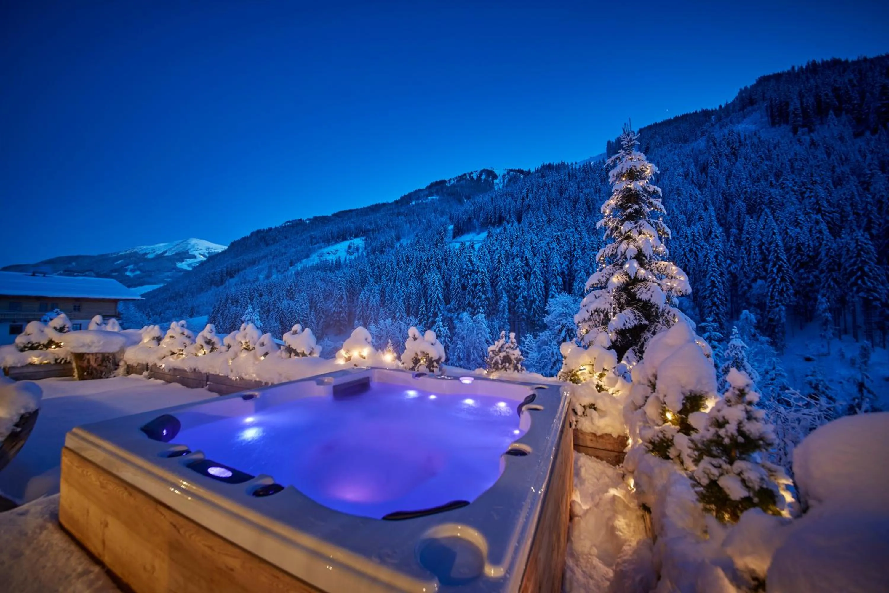 Chalet Tannenbaum