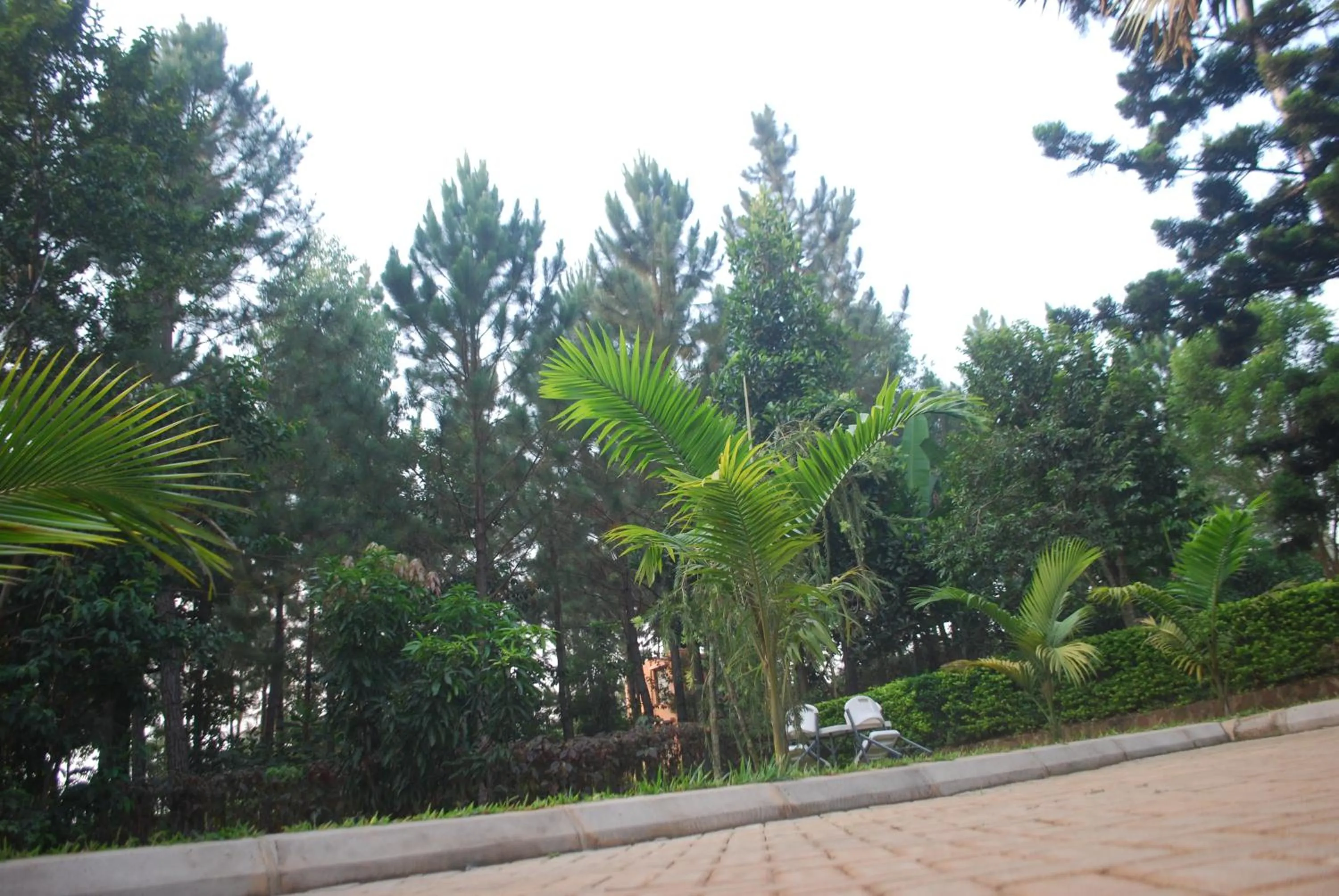Garden view in Saltek Forest Cottages
