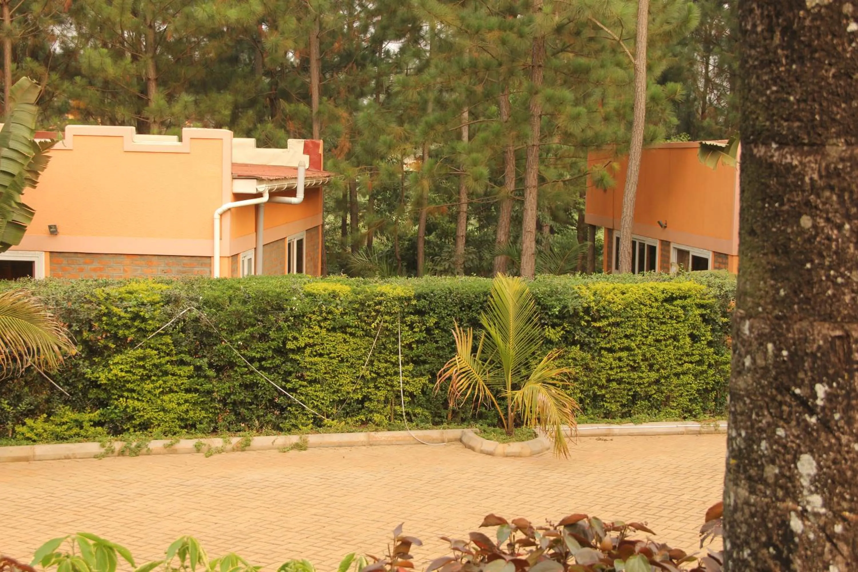 Property building in Saltek Forest Cottages